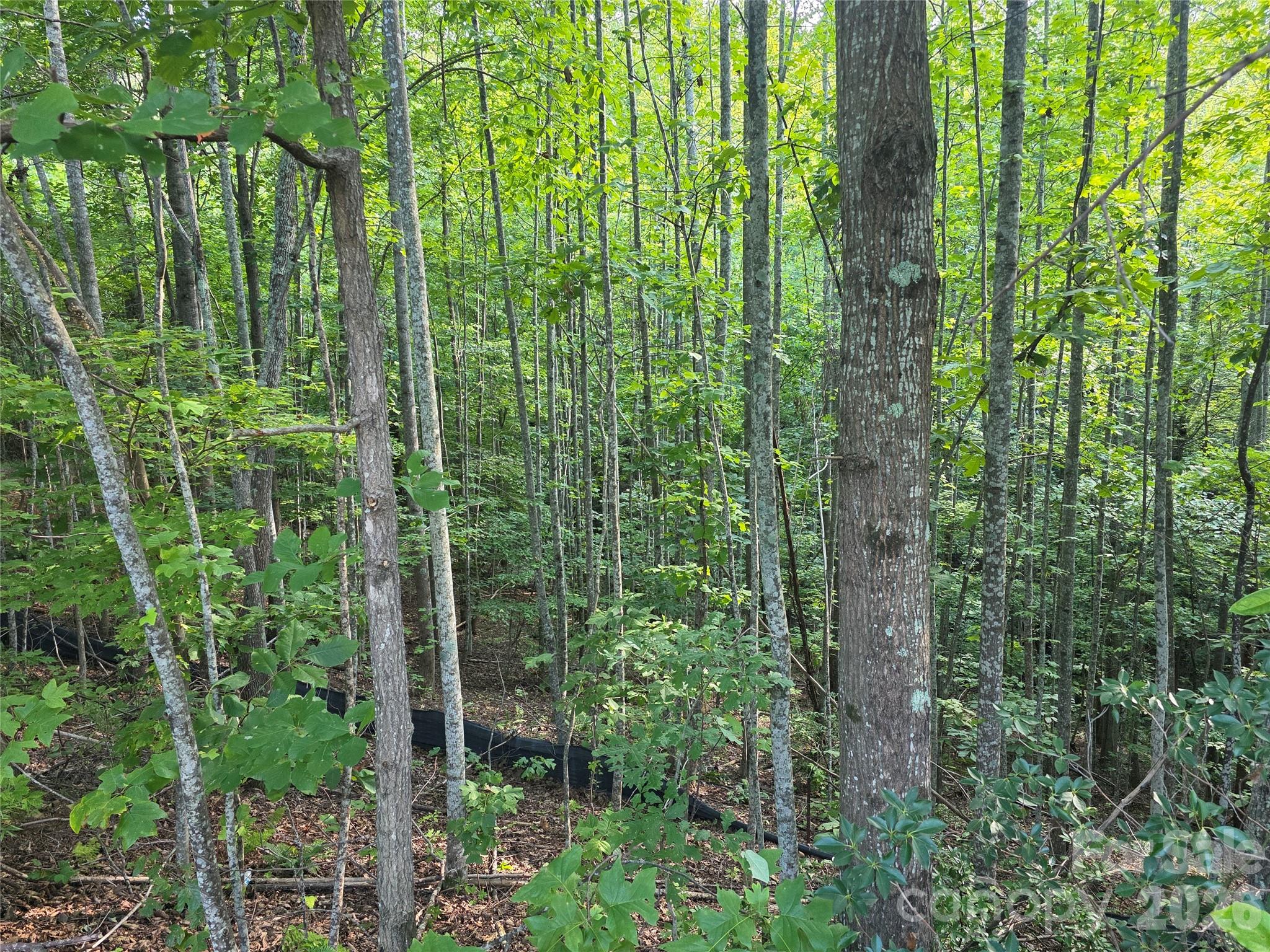 Lot at Lot 149 Big View Drive, Marion, photo 11 of 14