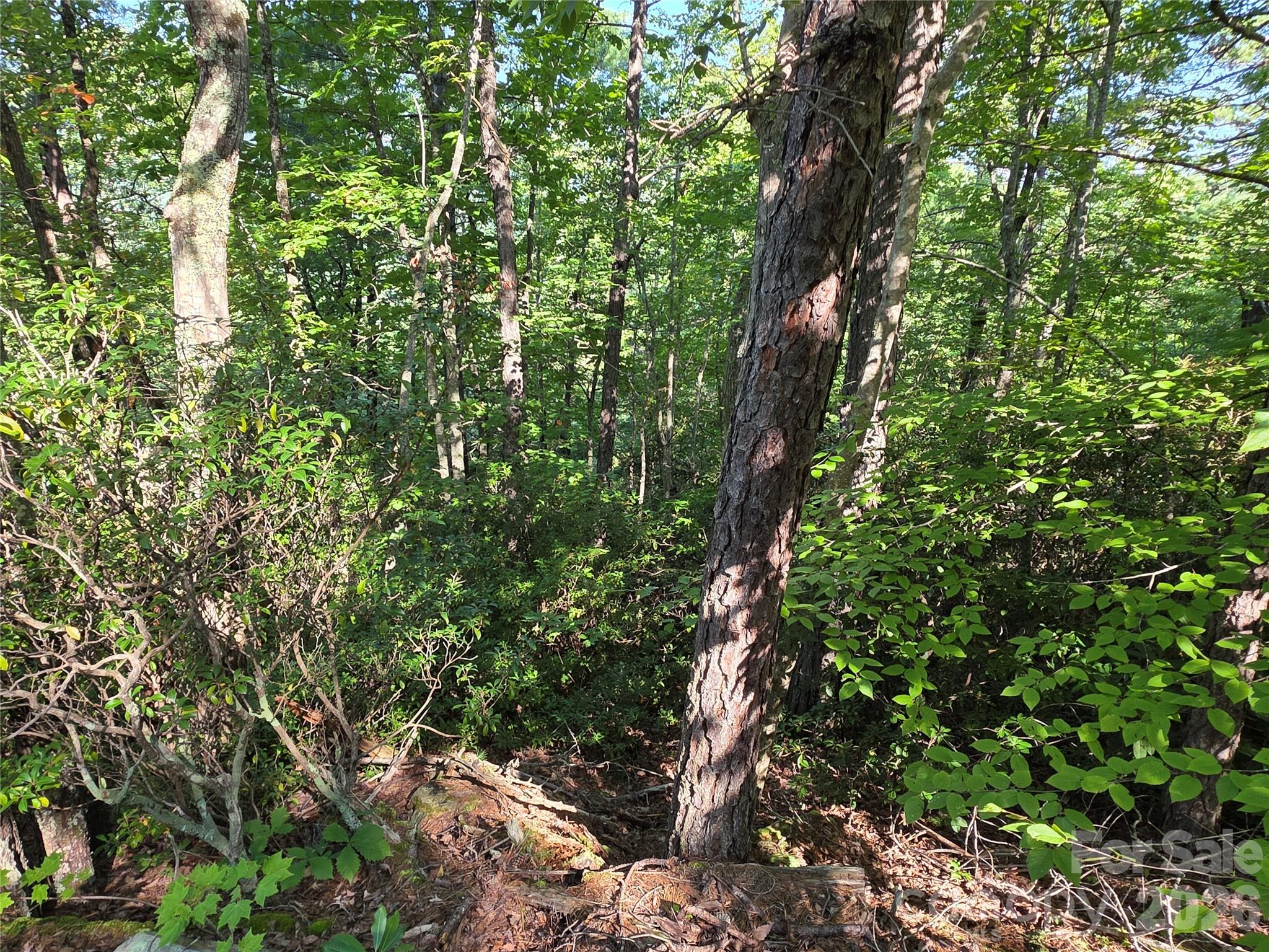 Lot at Lot 149 Big View Drive, Marion, photo 12 of 14