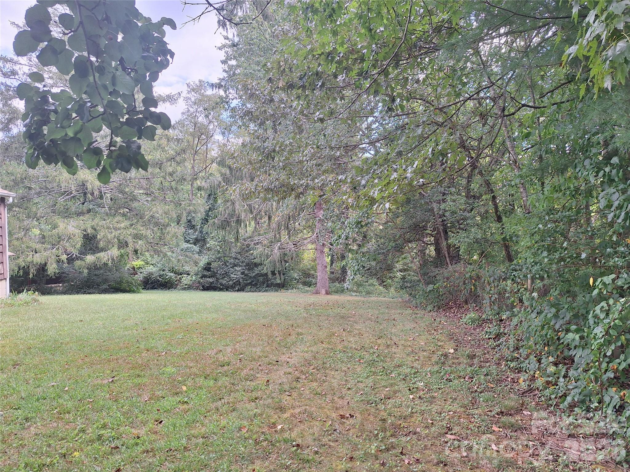 Side yard - 16 Shannon Drive, Asheville