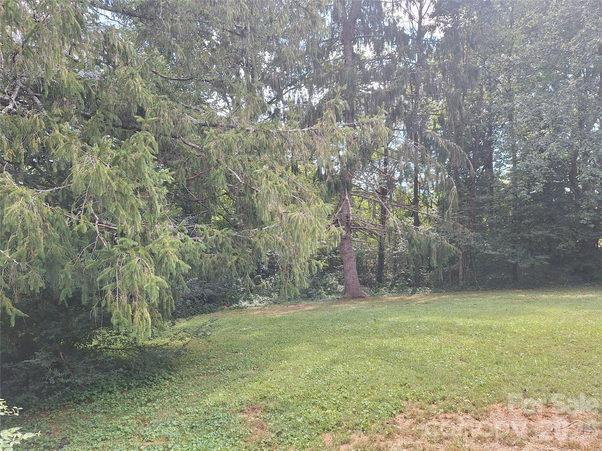 Backyard - 16 Shannon Drive, Asheville