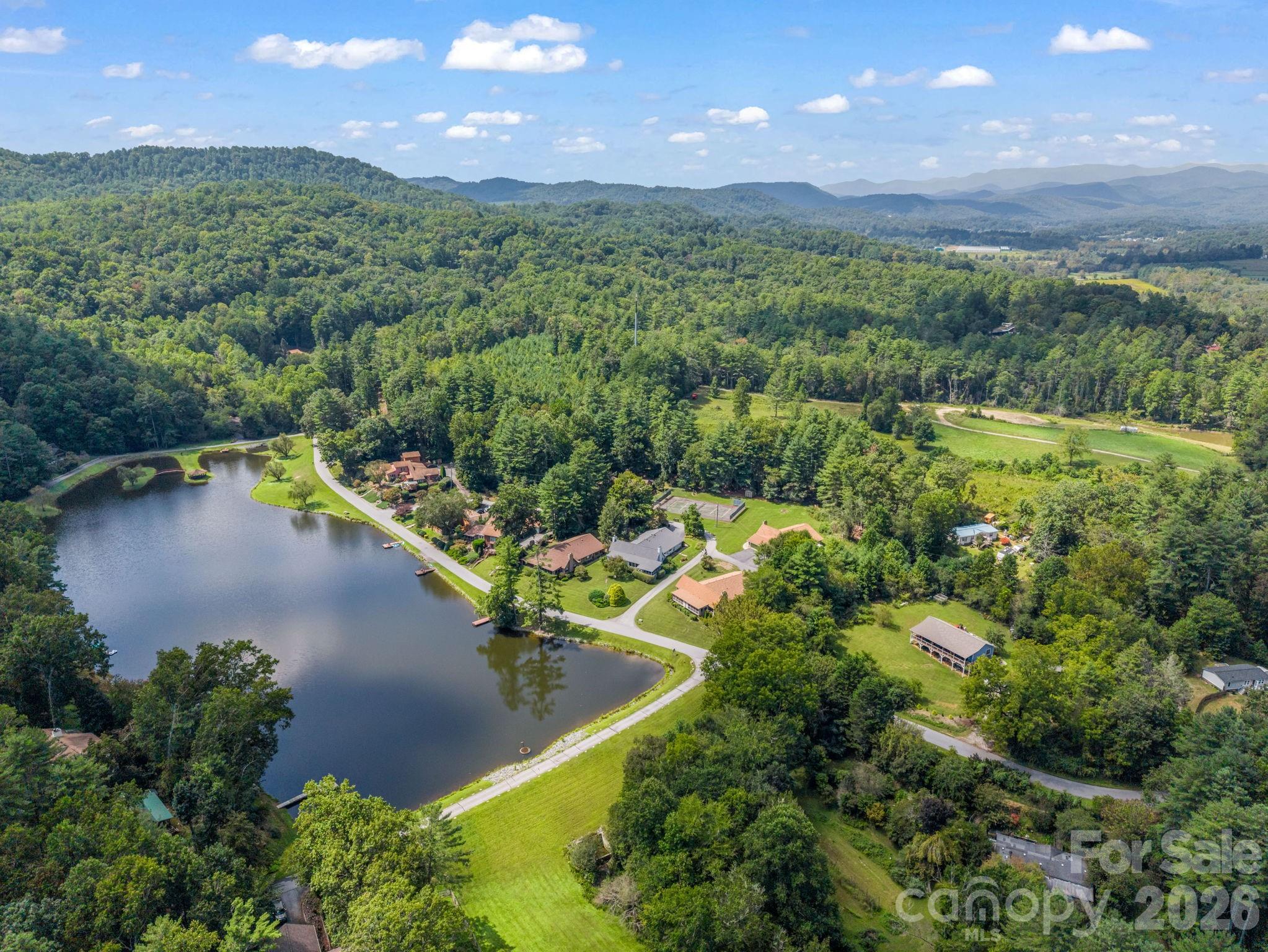Aerial of the home and lake - 31 Willow Way, Hendersonville