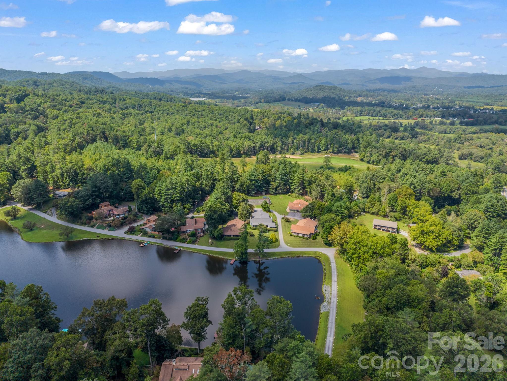 Aerial of the home and lake - 31 Willow Way, Hendersonville