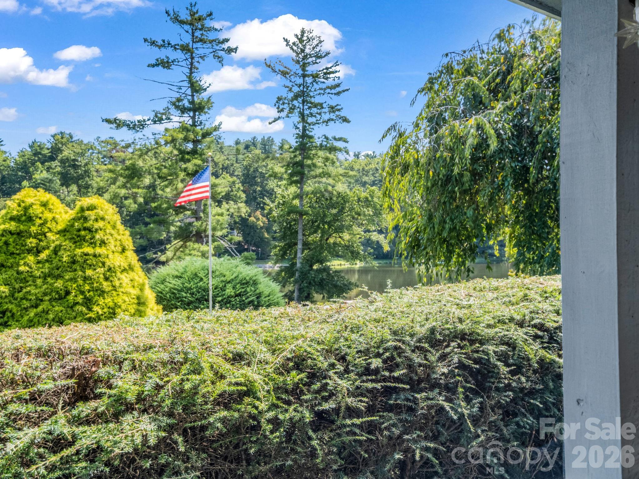 View from screened in porch - 31 Willow Way, Hendersonville
