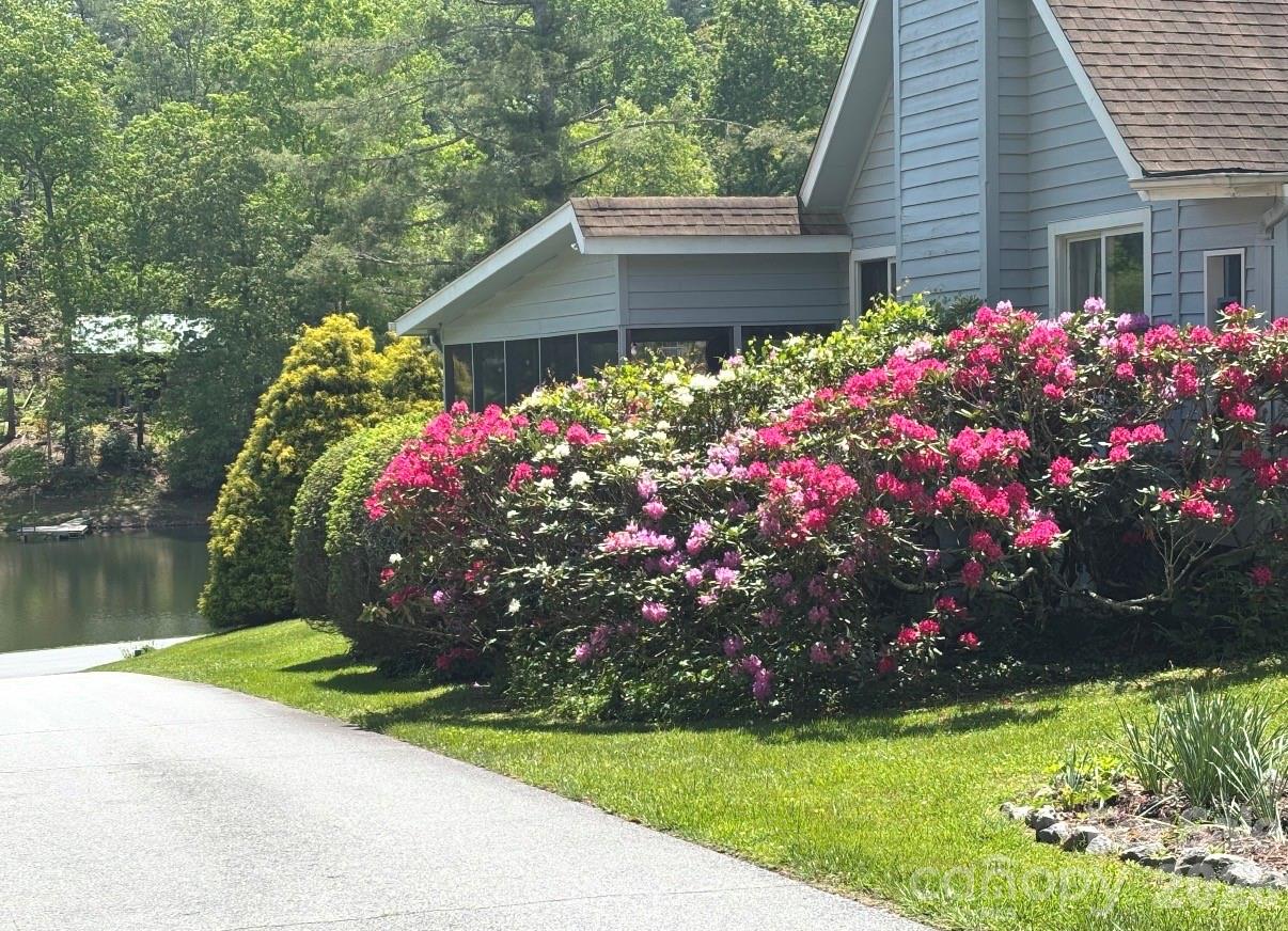 Blooming azaleas - 31 Willow Way, Hendersonville
