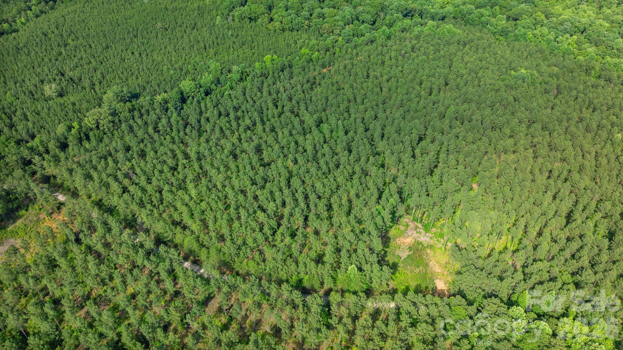 Birds Eye view - 000 Peacehaven Road, McConnells