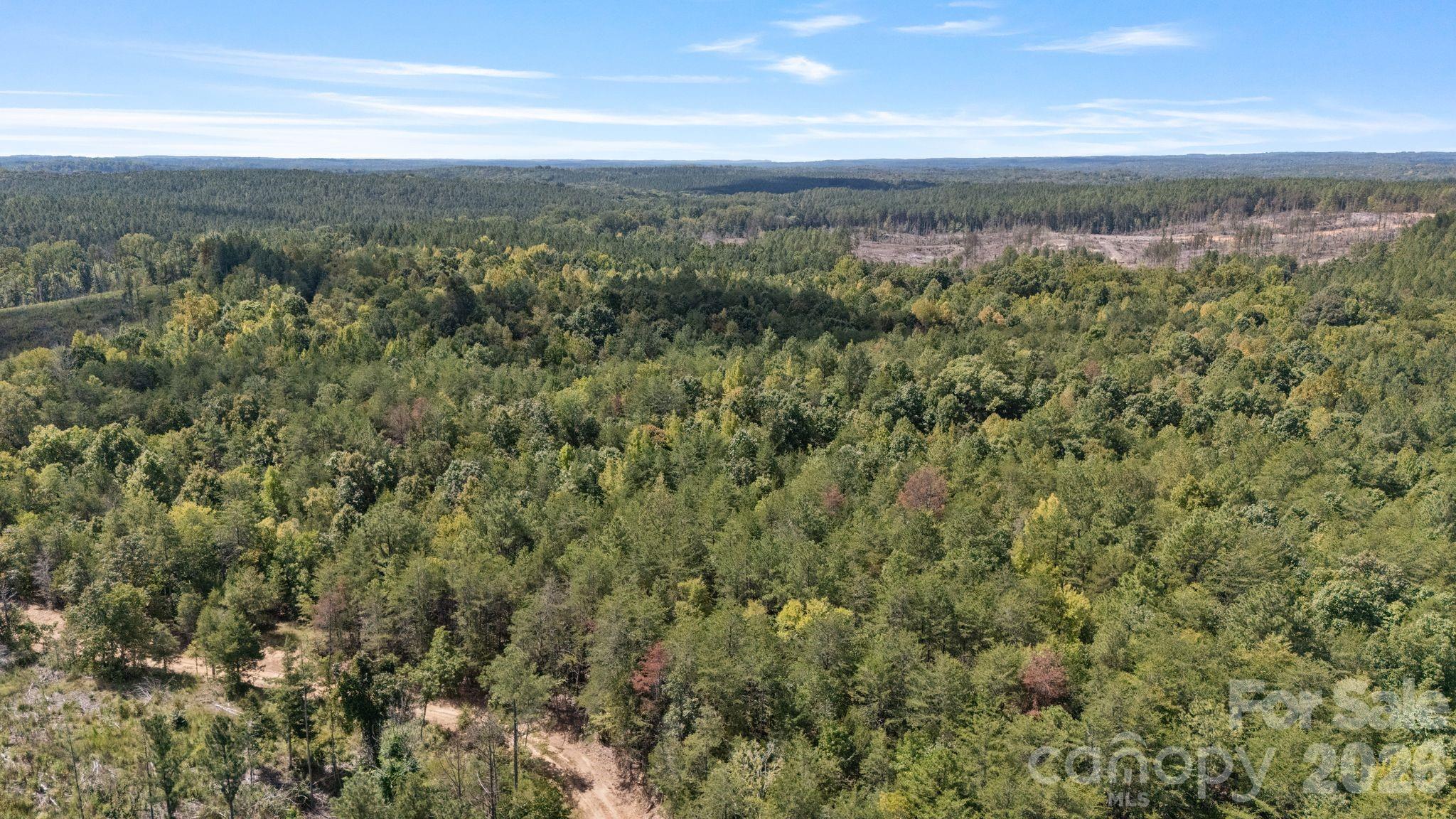 630 Turkey Creek Ridge Road