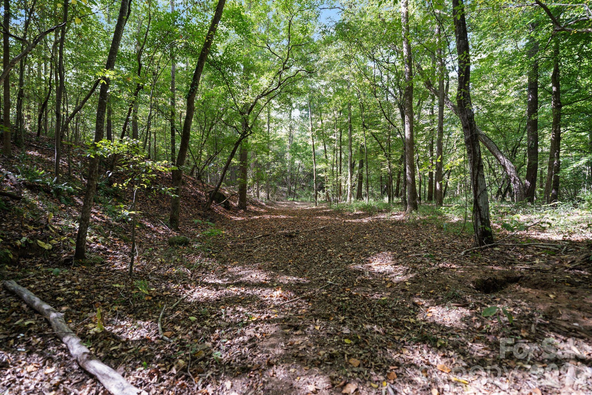 trails along the creek - 630 Turkey Creek Ridge Road, York