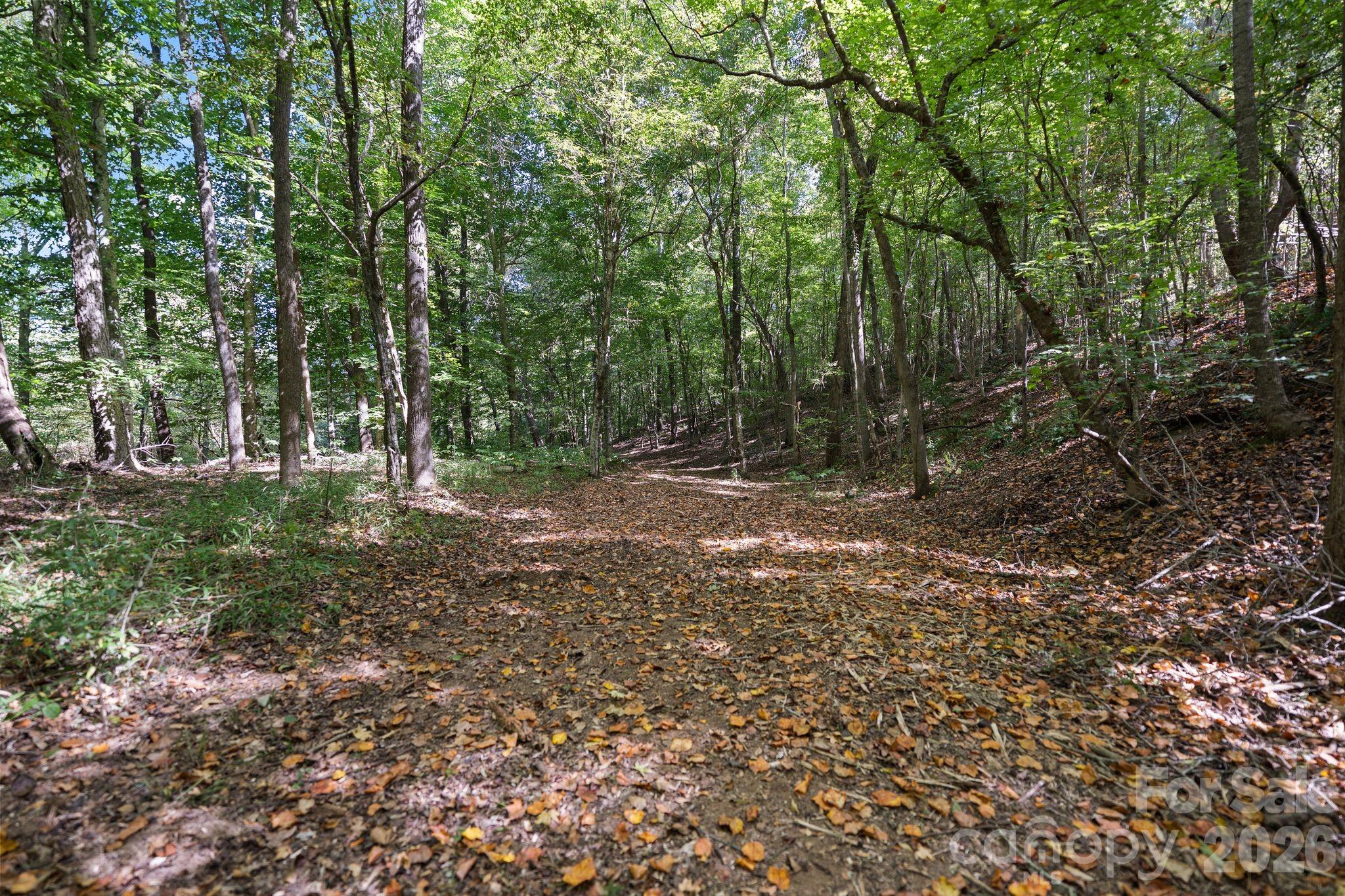 Acreage at 630 Turkey Creek Ridge Road, York, photo 9 of 46
