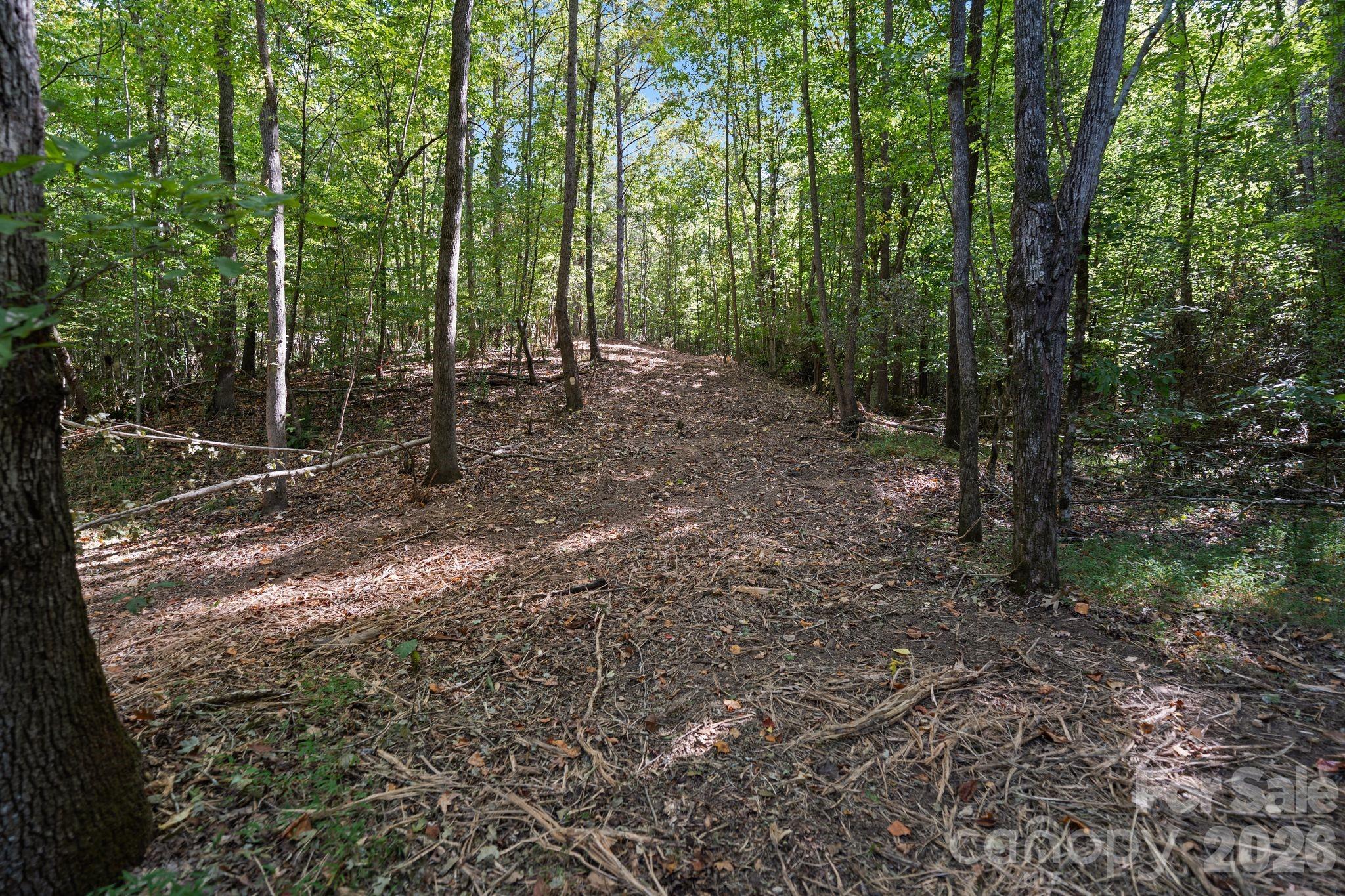 Acreage at 630 Turkey Creek Ridge Road, York, photo 10 of 46
