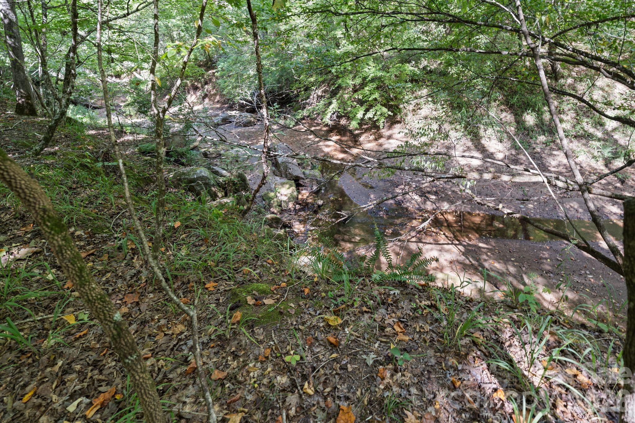 Acreage at 630 Turkey Creek Ridge Road, York, photo 13 of 46