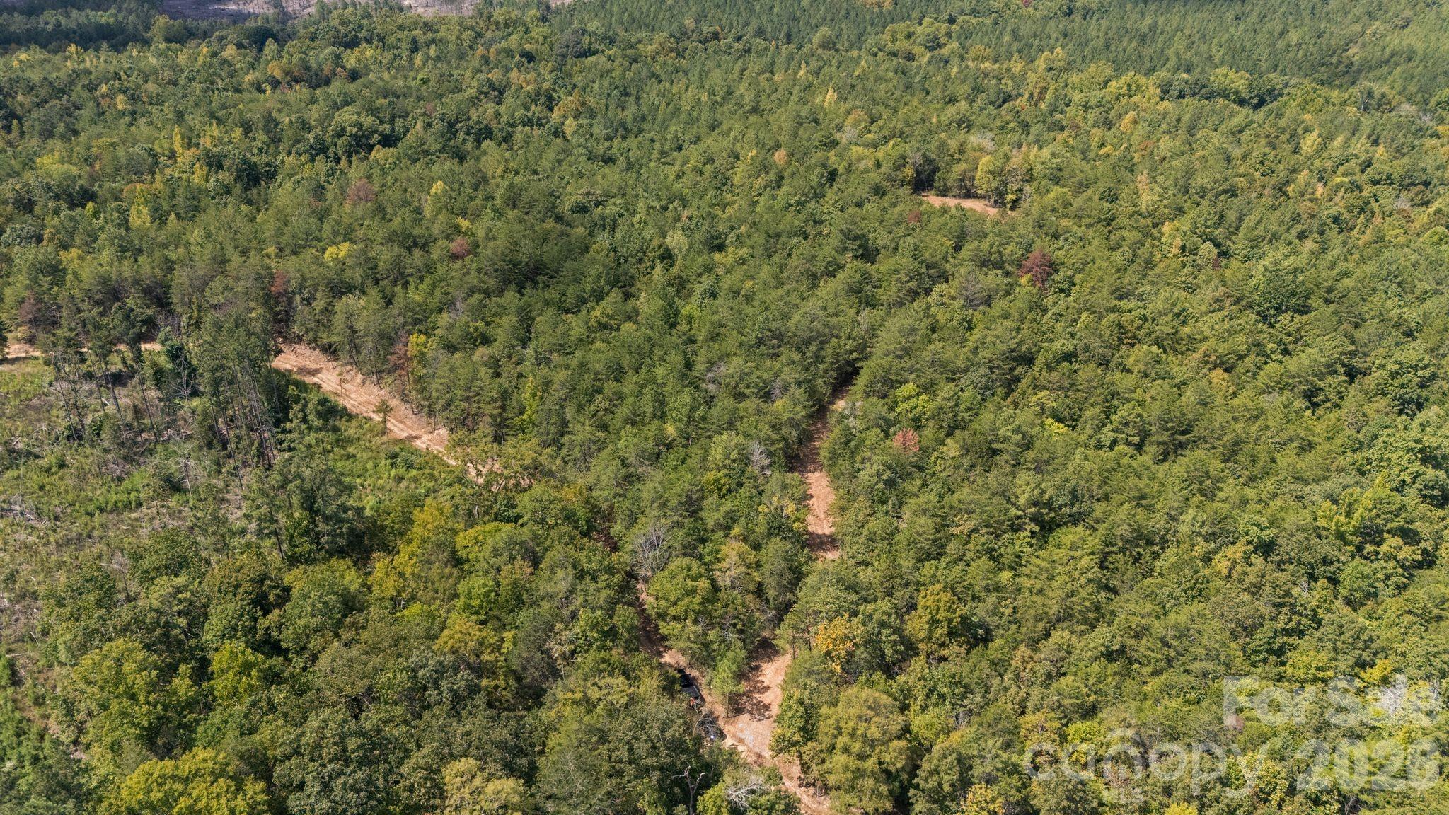 Acreage at 630 Turkey Creek Ridge Road, York, photo 15 of 46