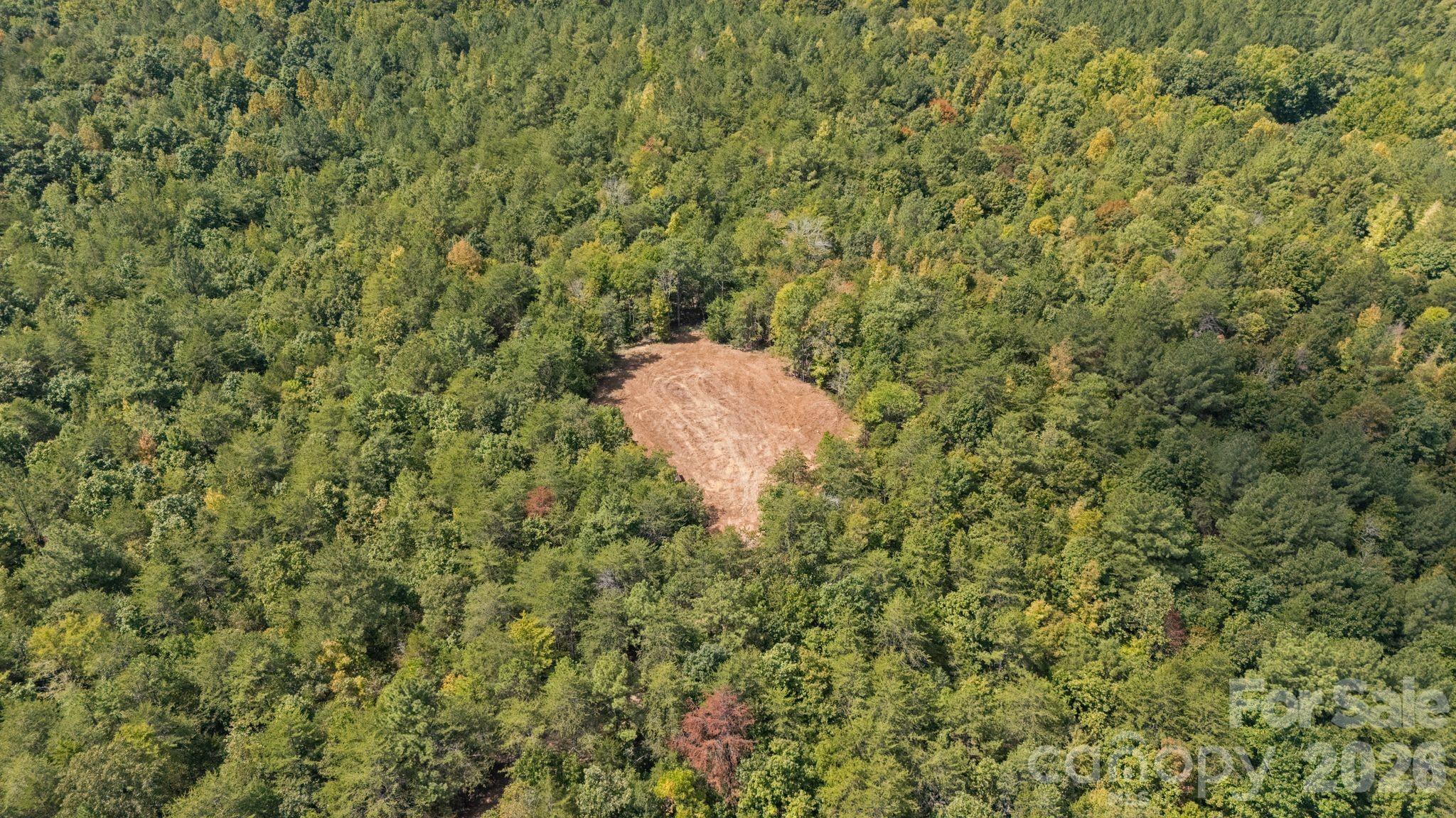 Acreage at 630 Turkey Creek Ridge Road, York, photo 16 of 46