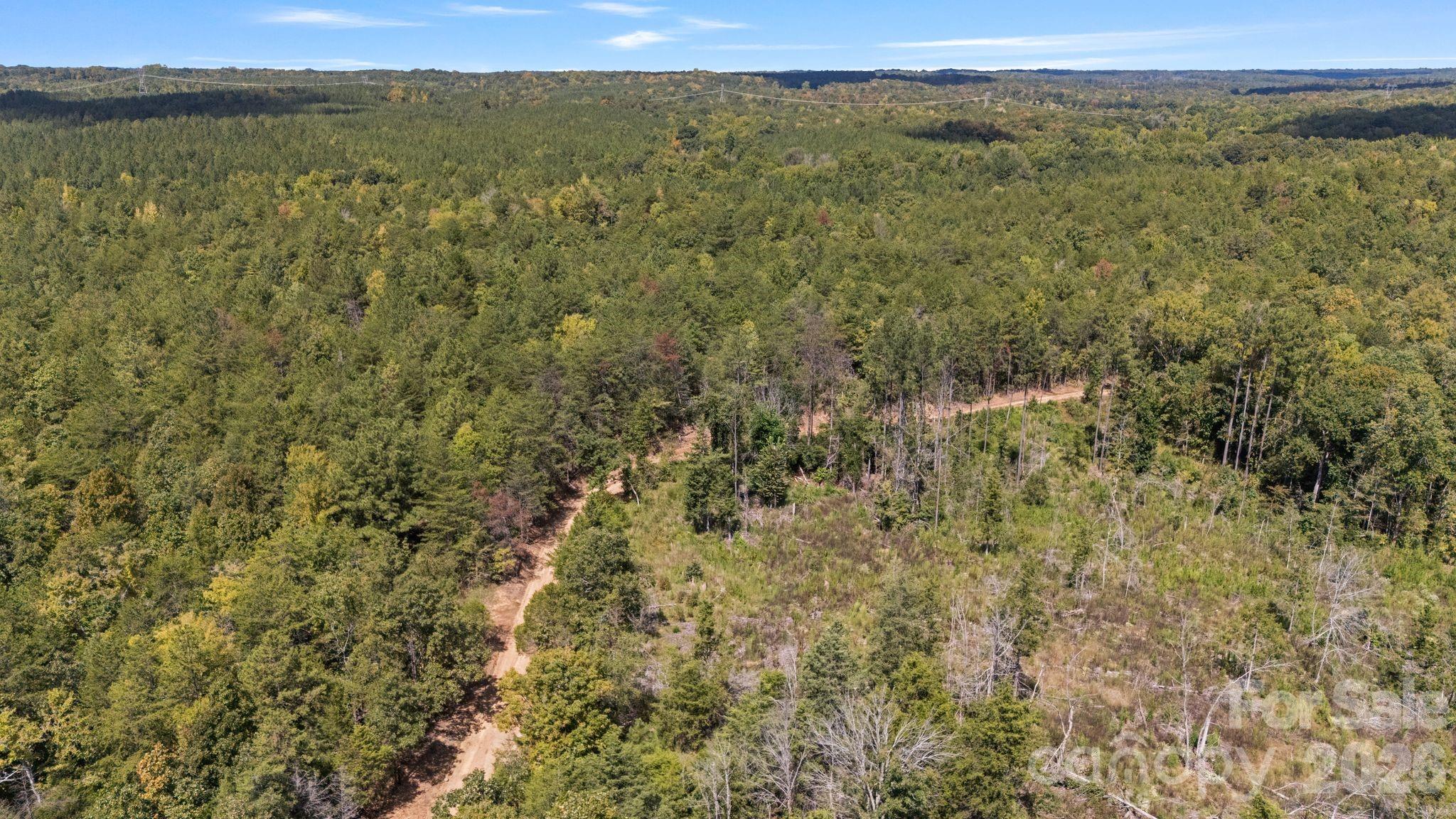 Acreage at 630 Turkey Creek Ridge Road, York, photo 24 of 46
