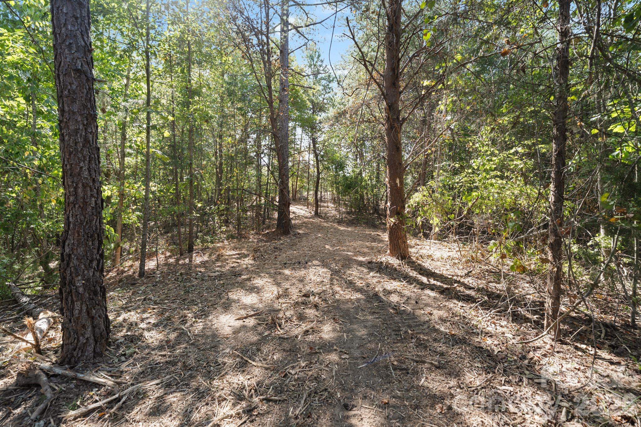 Acreage at 630 Turkey Creek Ridge Road, York, photo 31 of 46