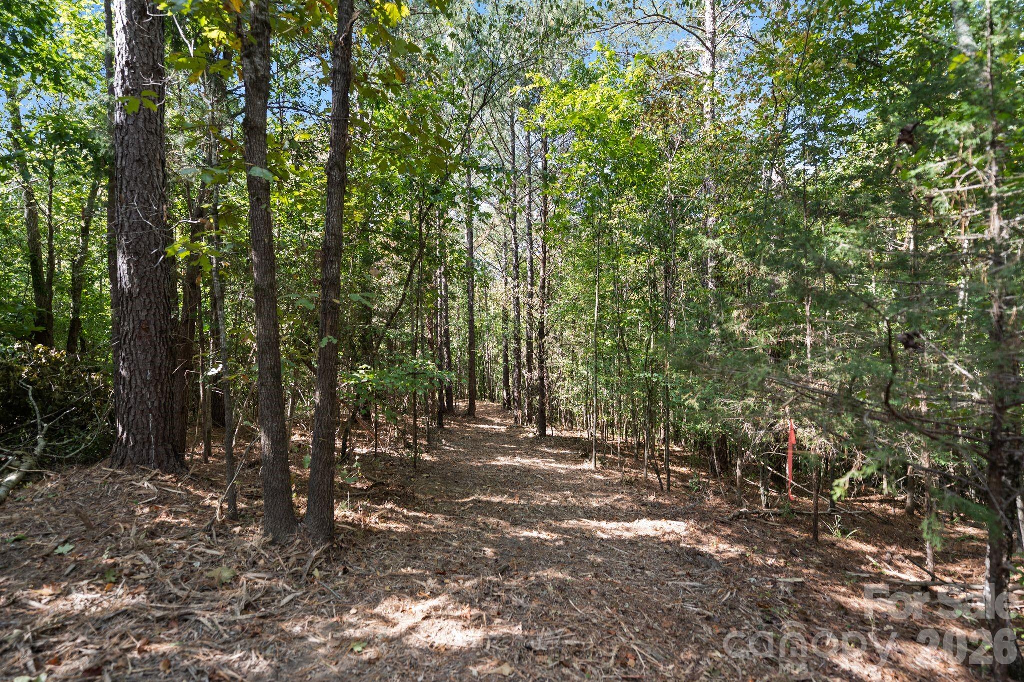 Acreage at 630 Turkey Creek Ridge Road, York, photo 32 of 46