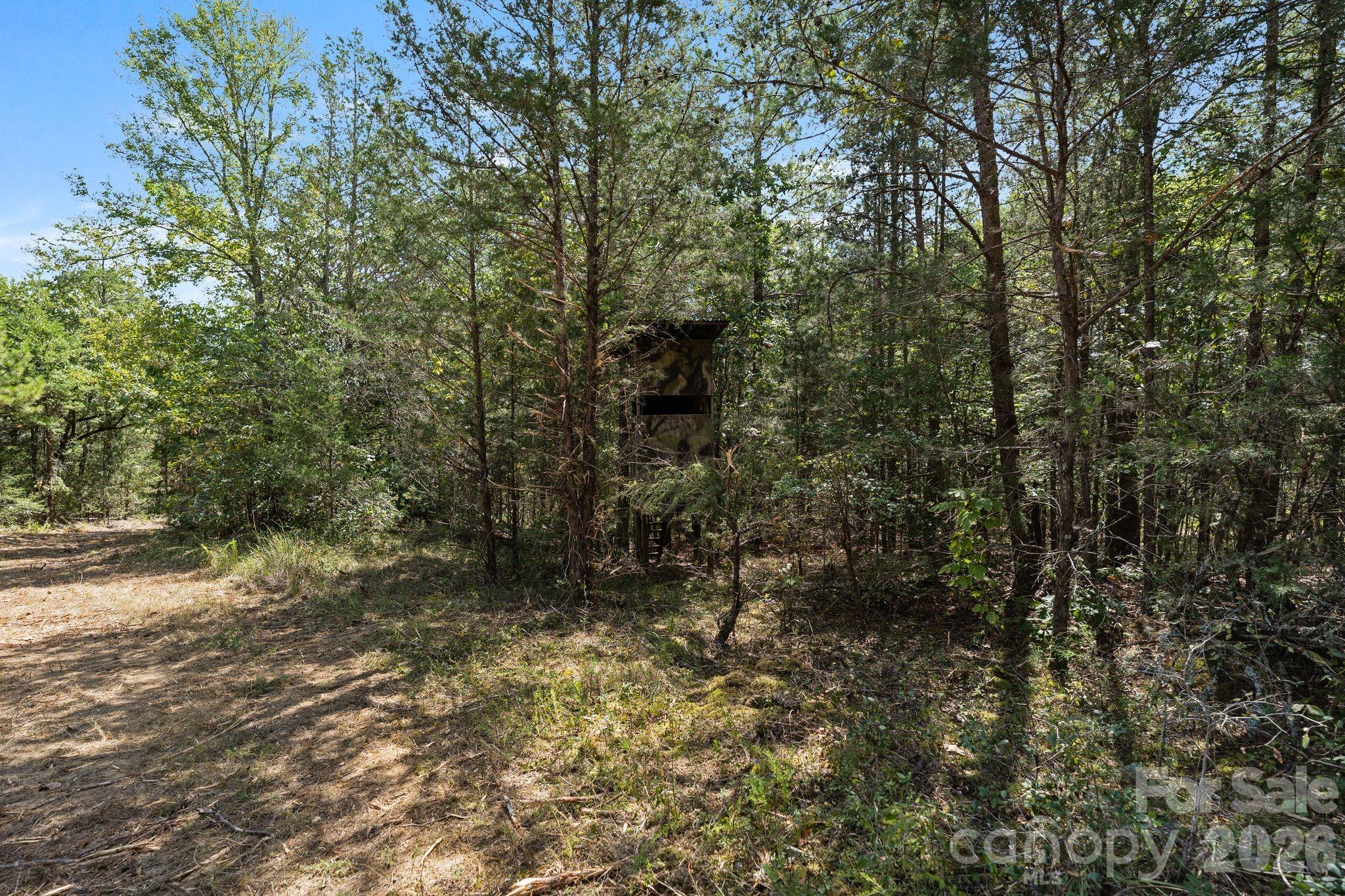 Acreage at 630 Turkey Creek Ridge Road, York, photo 33 of 46