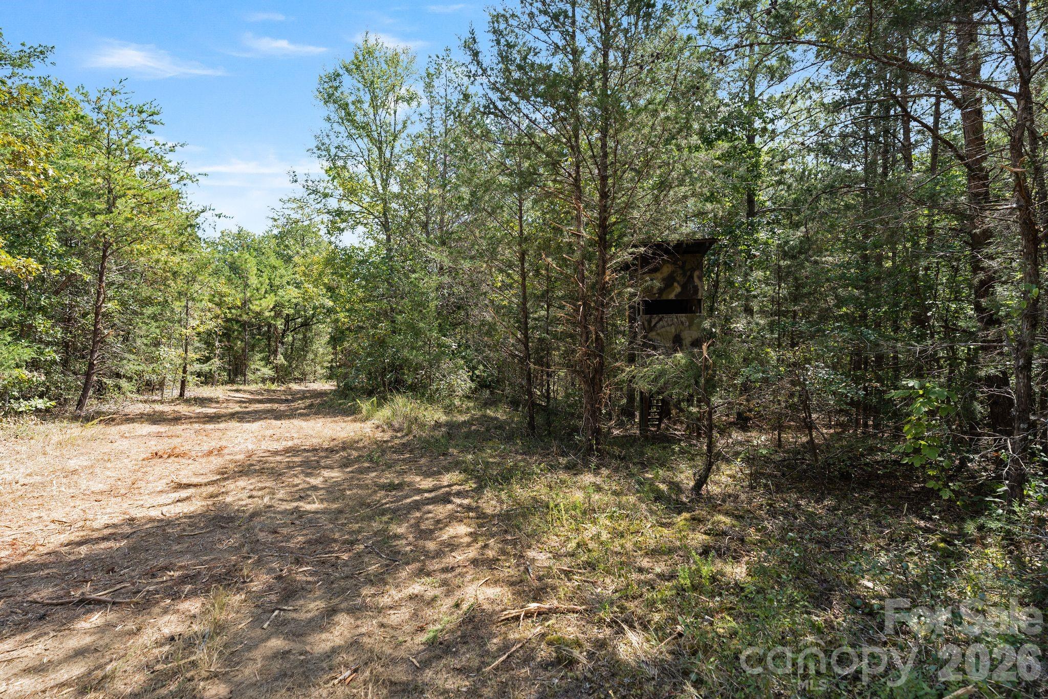 Acreage at 630 Turkey Creek Ridge Road, York, photo 34 of 46