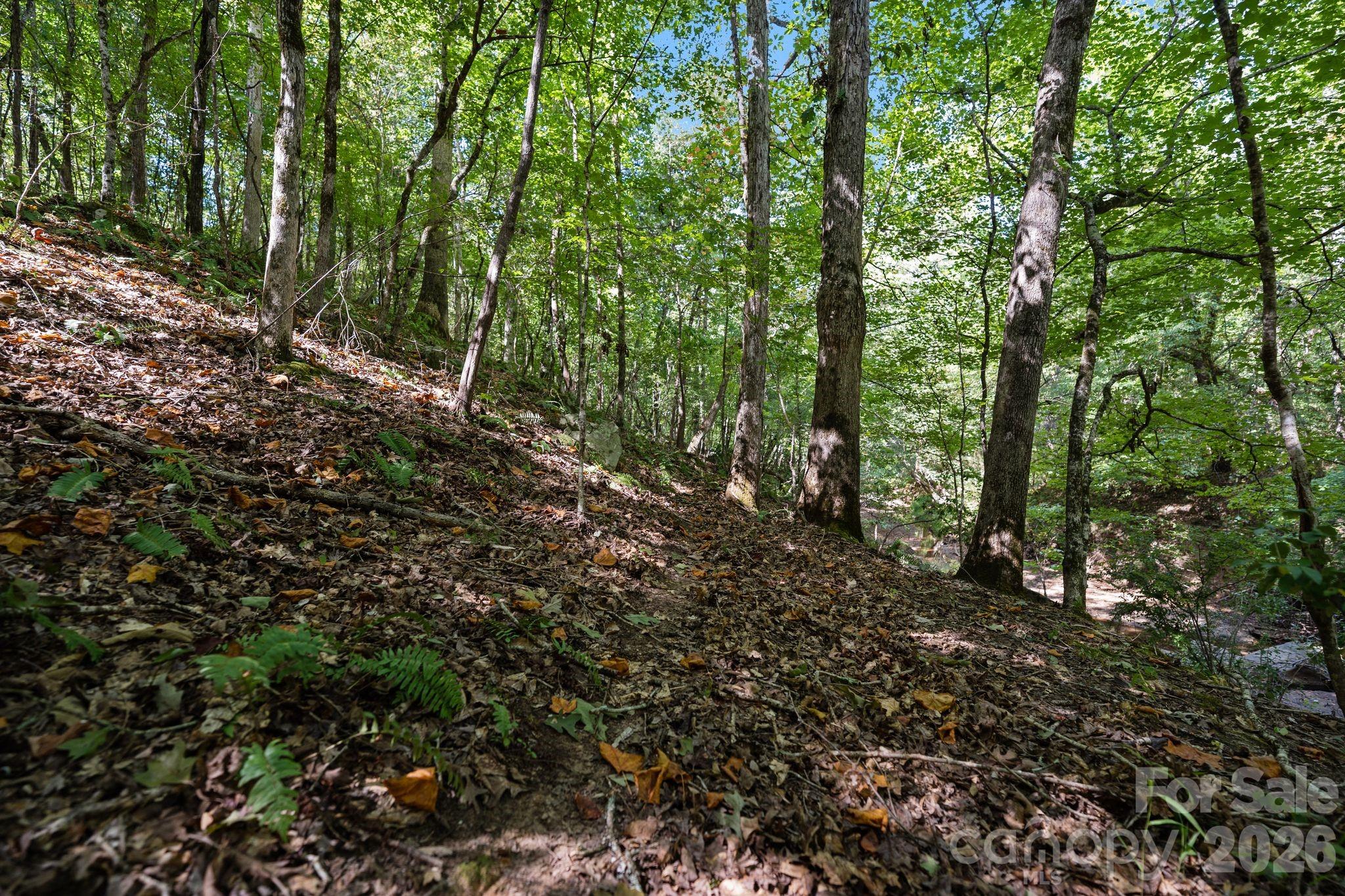 Acreage at 630 Turkey Creek Ridge Road, York, photo 38 of 46