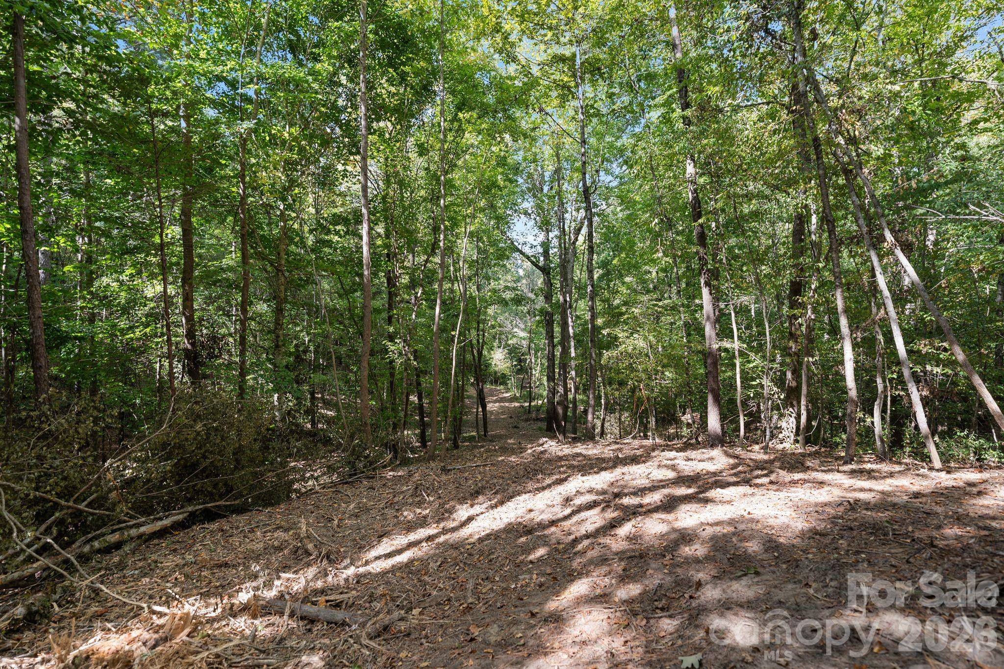 Acreage at 630 Turkey Creek Ridge Road, York, photo 46 of 46