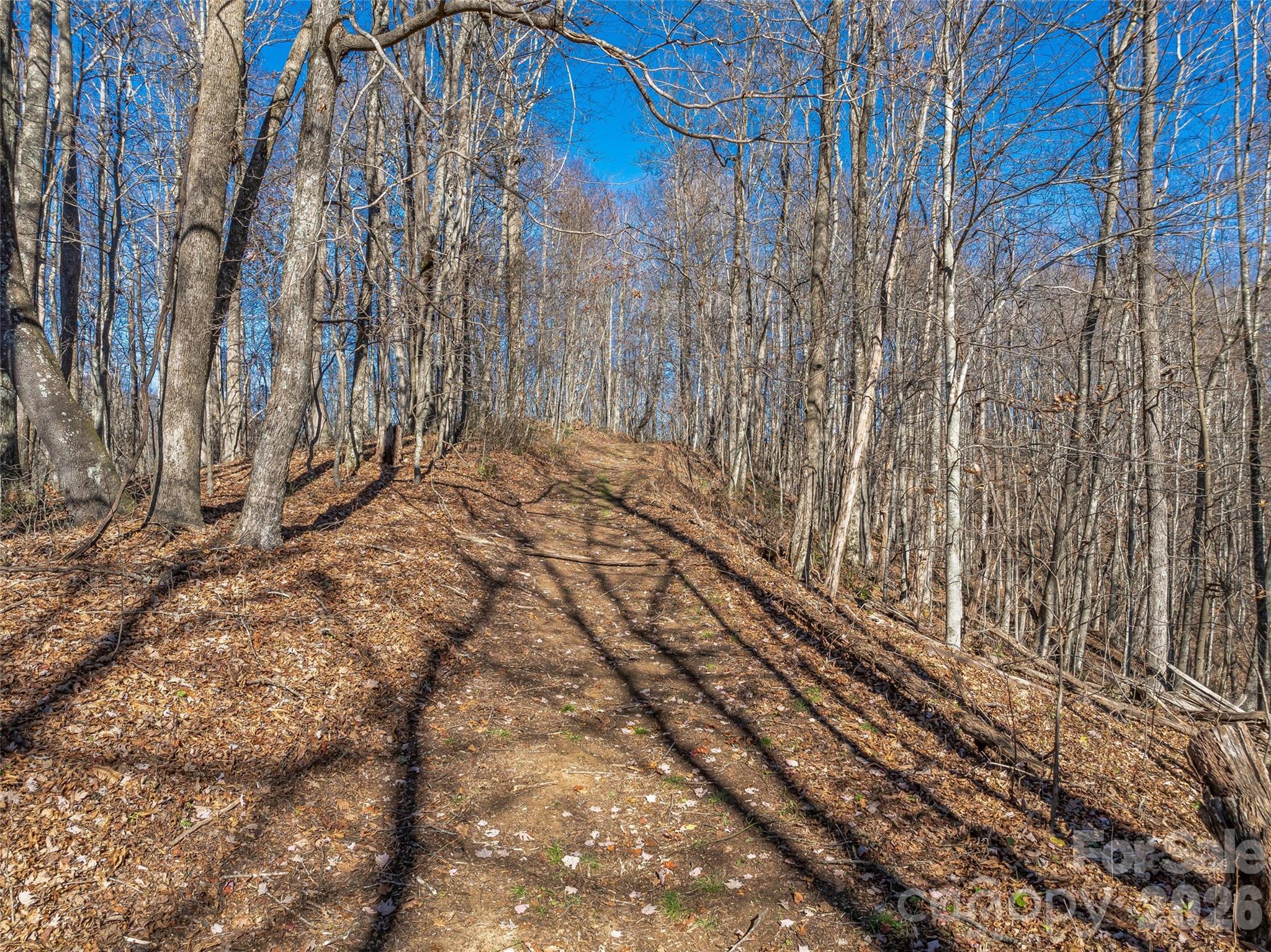 Acreage at TBD Walnut Creek Road, Marshall, photo 4 of 19