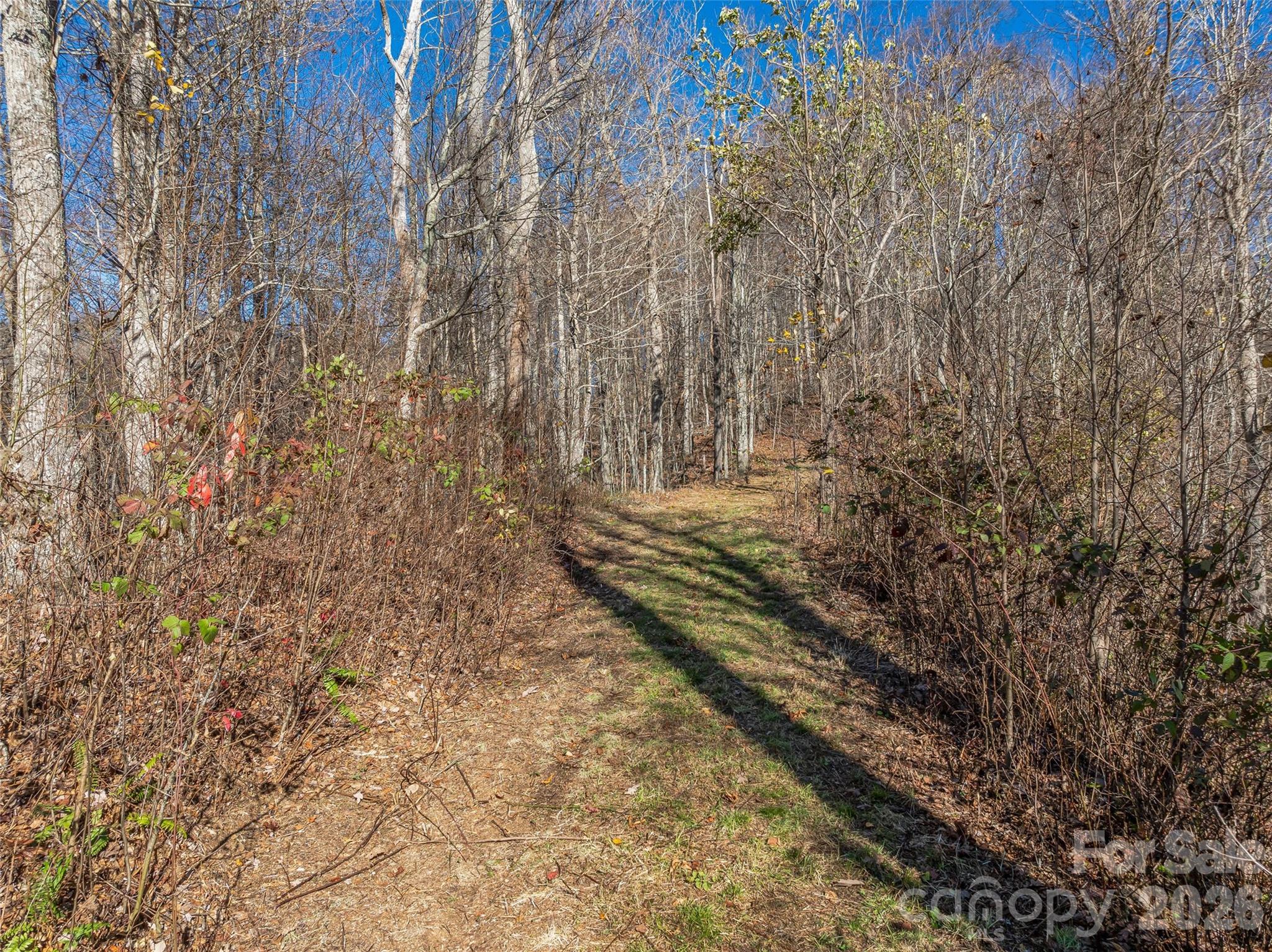 Acreage at TBD Walnut Creek Road, Marshall, photo 5 of 19