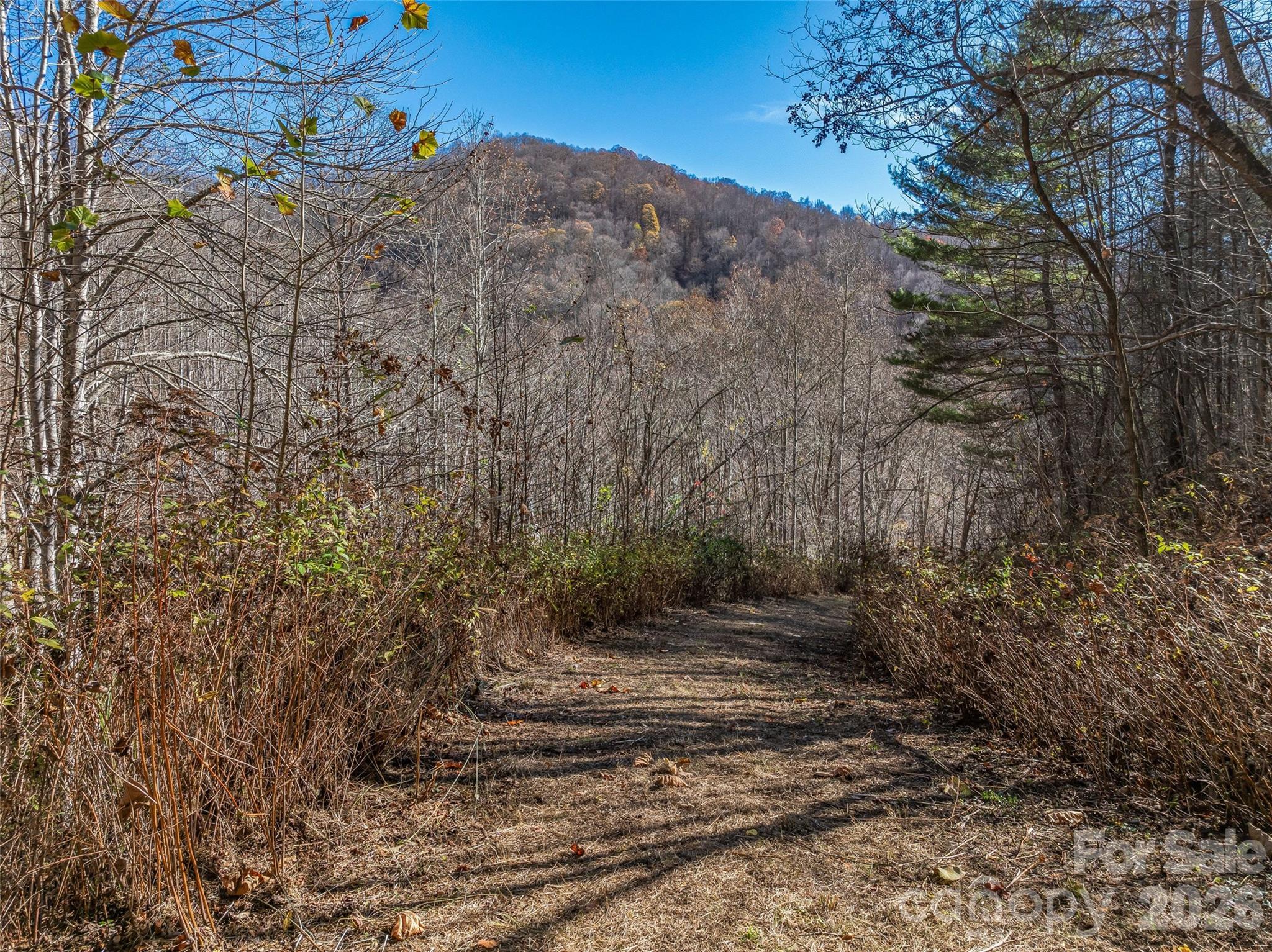 Acreage at TBD Walnut Creek Road, Marshall, photo 6 of 19