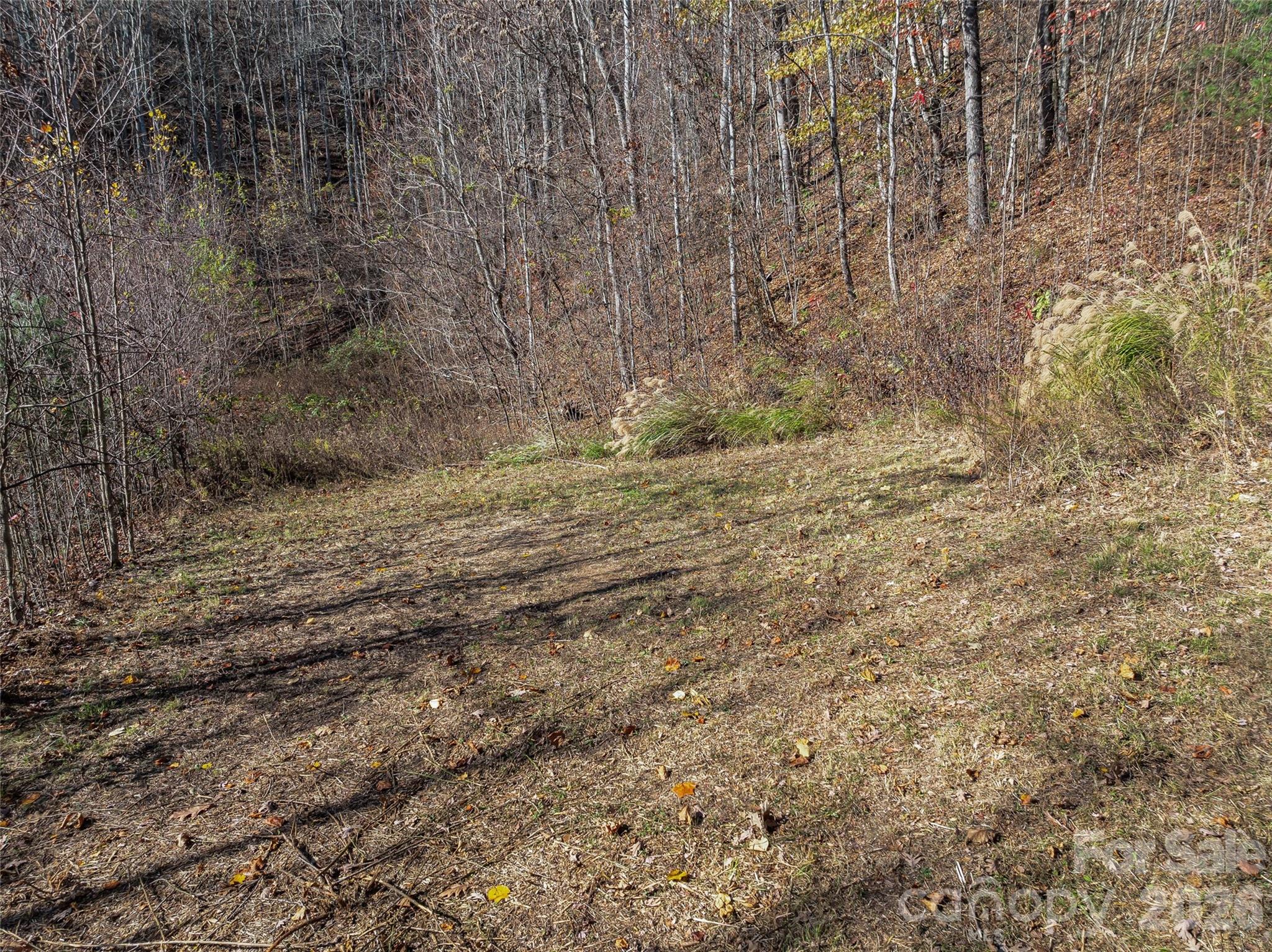 Acreage at TBD Walnut Creek Road, Marshall, photo 7 of 19