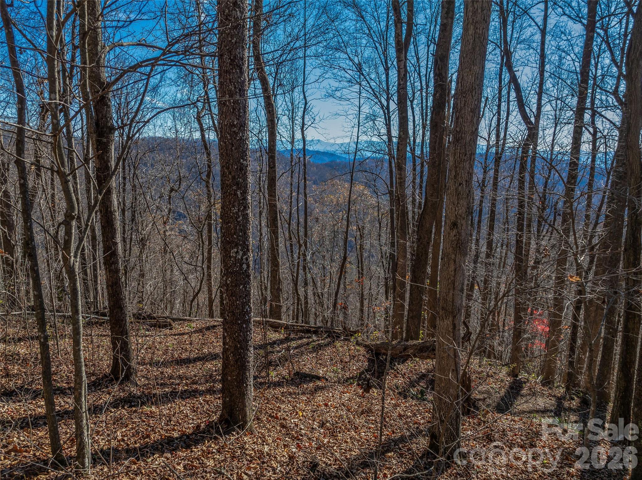 Acreage at TBD Walnut Creek Road, Marshall, photo 8 of 19