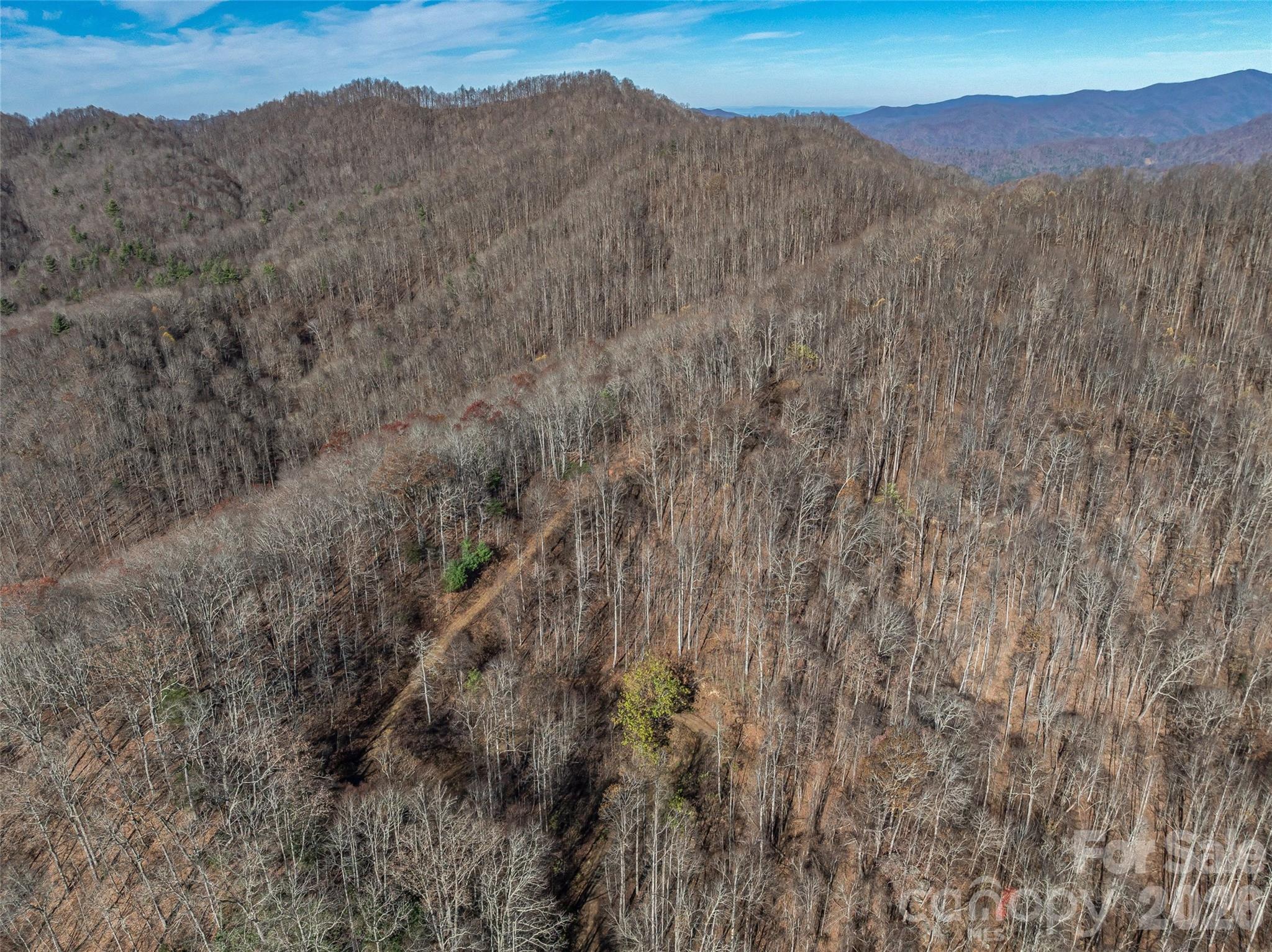 Acreage at TBD Walnut Creek Road, Marshall, photo 18 of 19