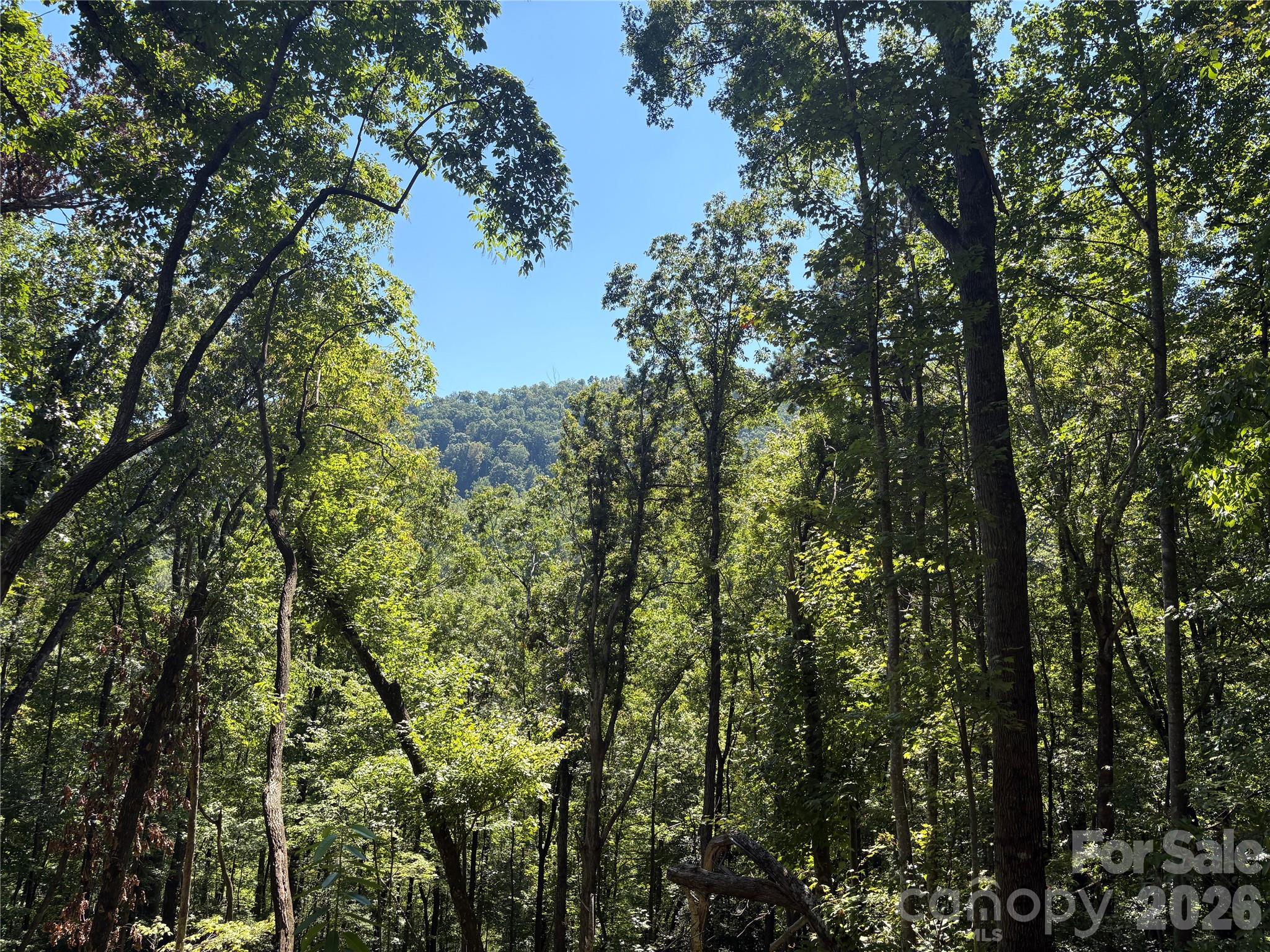 Acreage at 276 Cedar Creek Road, Black Mountain, photo 4 of 27