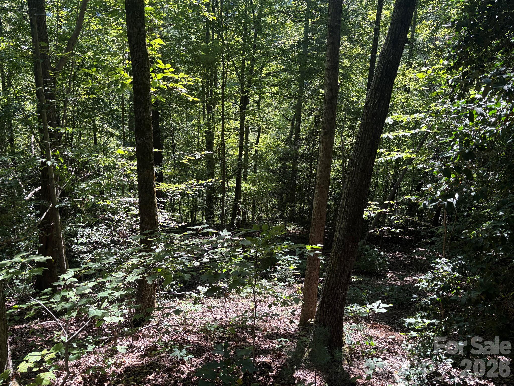 Acreage at 276 Cedar Creek Road, Black Mountain, photo 27 of 27
