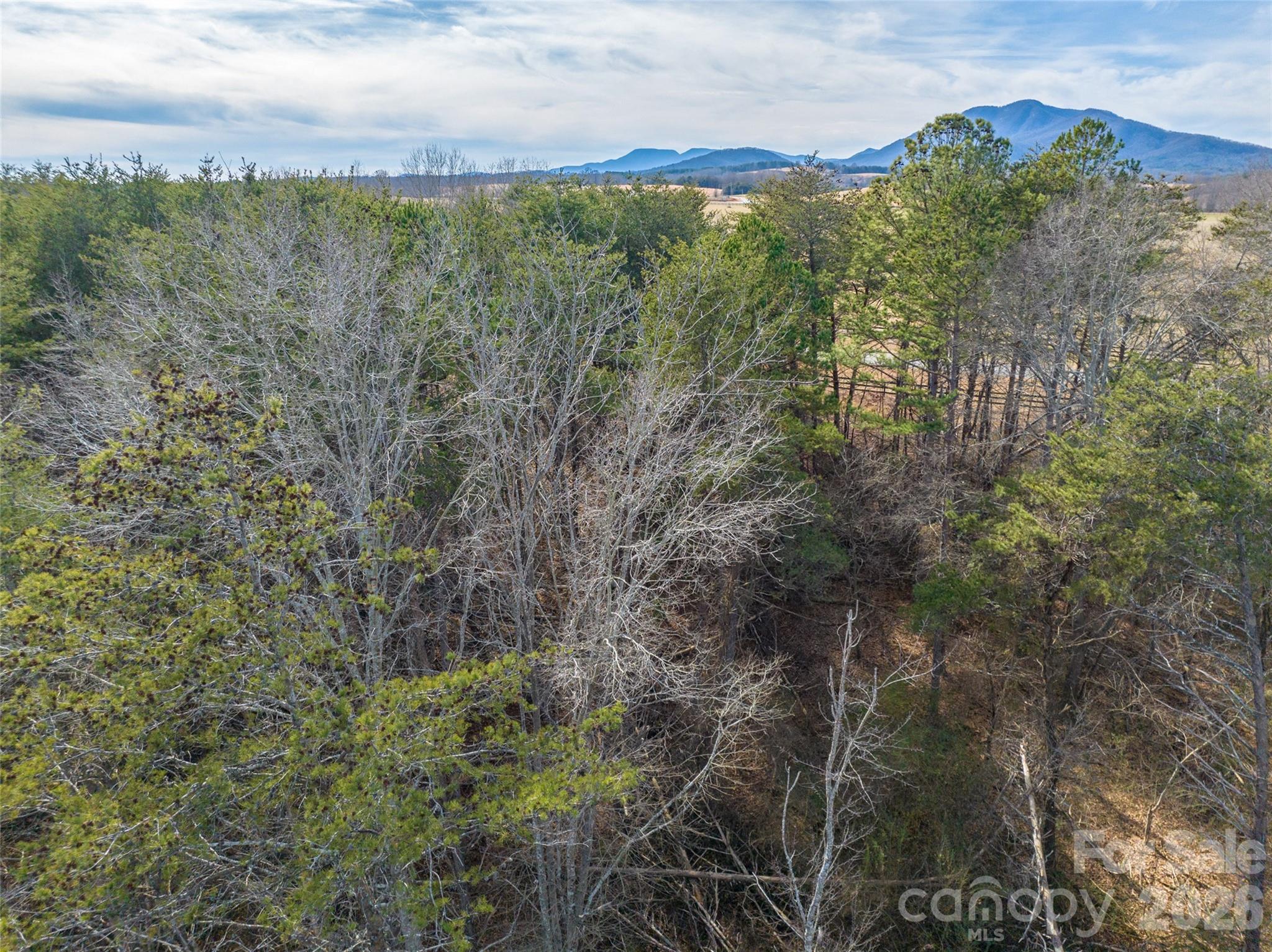 Acreage at 0000 High Meadows Drive, Mill Spring, photo 16 of 21