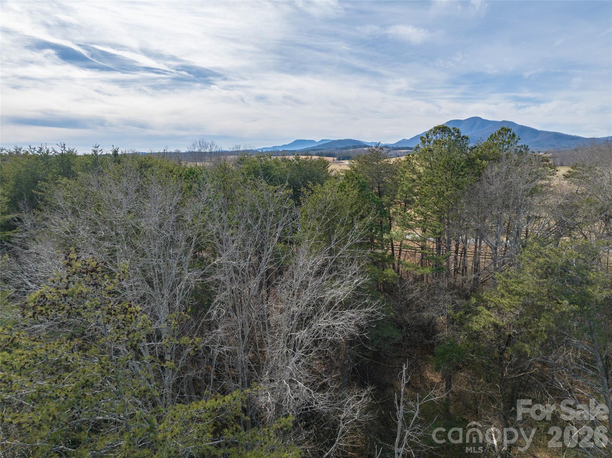 Acreage at 0000 High Meadows Drive, Mill Spring, photo 17 of 21