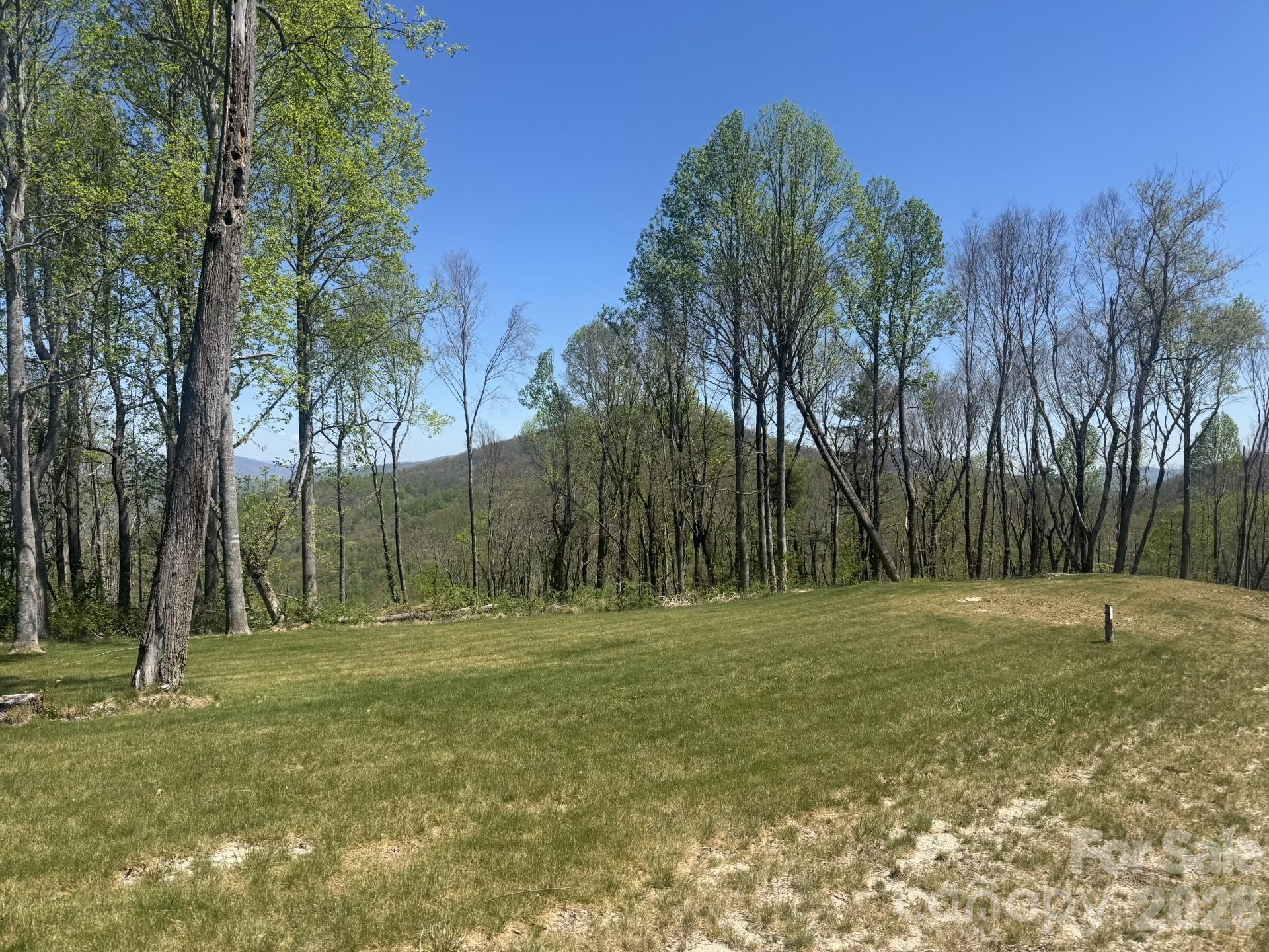 Lot at TBD W Garden Trail, Hendersonville, photo 3 of 7