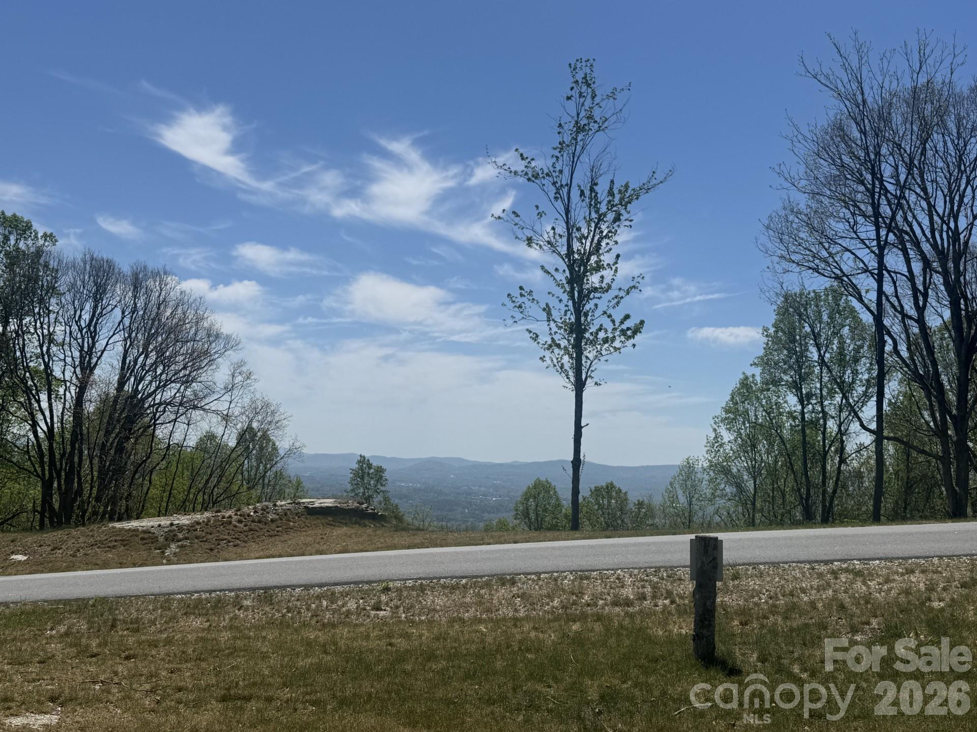 Lot at TBD W Garden Trail, Hendersonville, photo 4 of 7