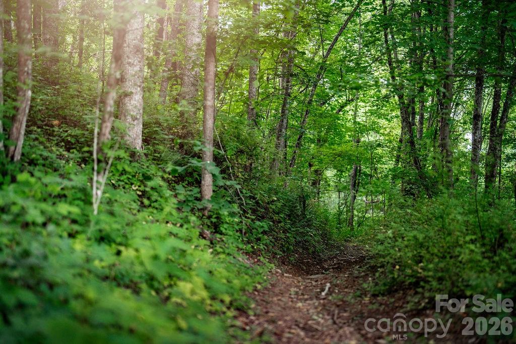 Hiking Trails - TBD W Garden Trail, Hendersonville