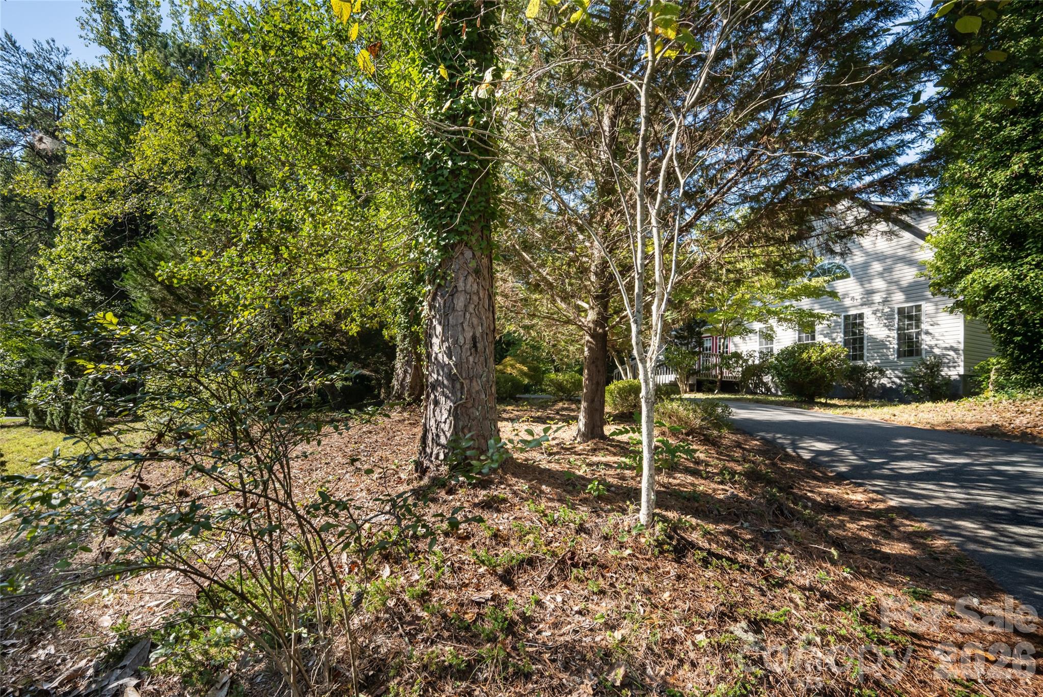Single Family Residence at 3482 Polk County Line Road, Rutherfordton, photo 42 of 48