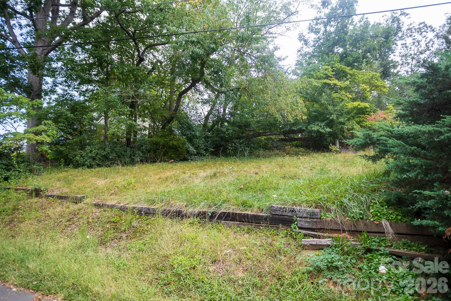 Lot at 99999 Pine Cone Drive, Asheville, photo 2 of 5