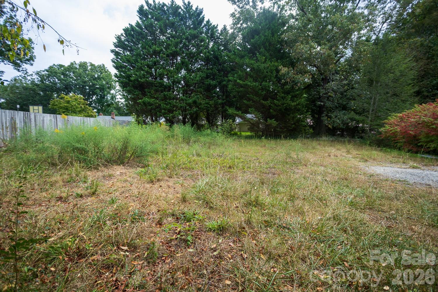 Lot at 99999 Pine Cone Drive, Asheville, photo 3 of 5