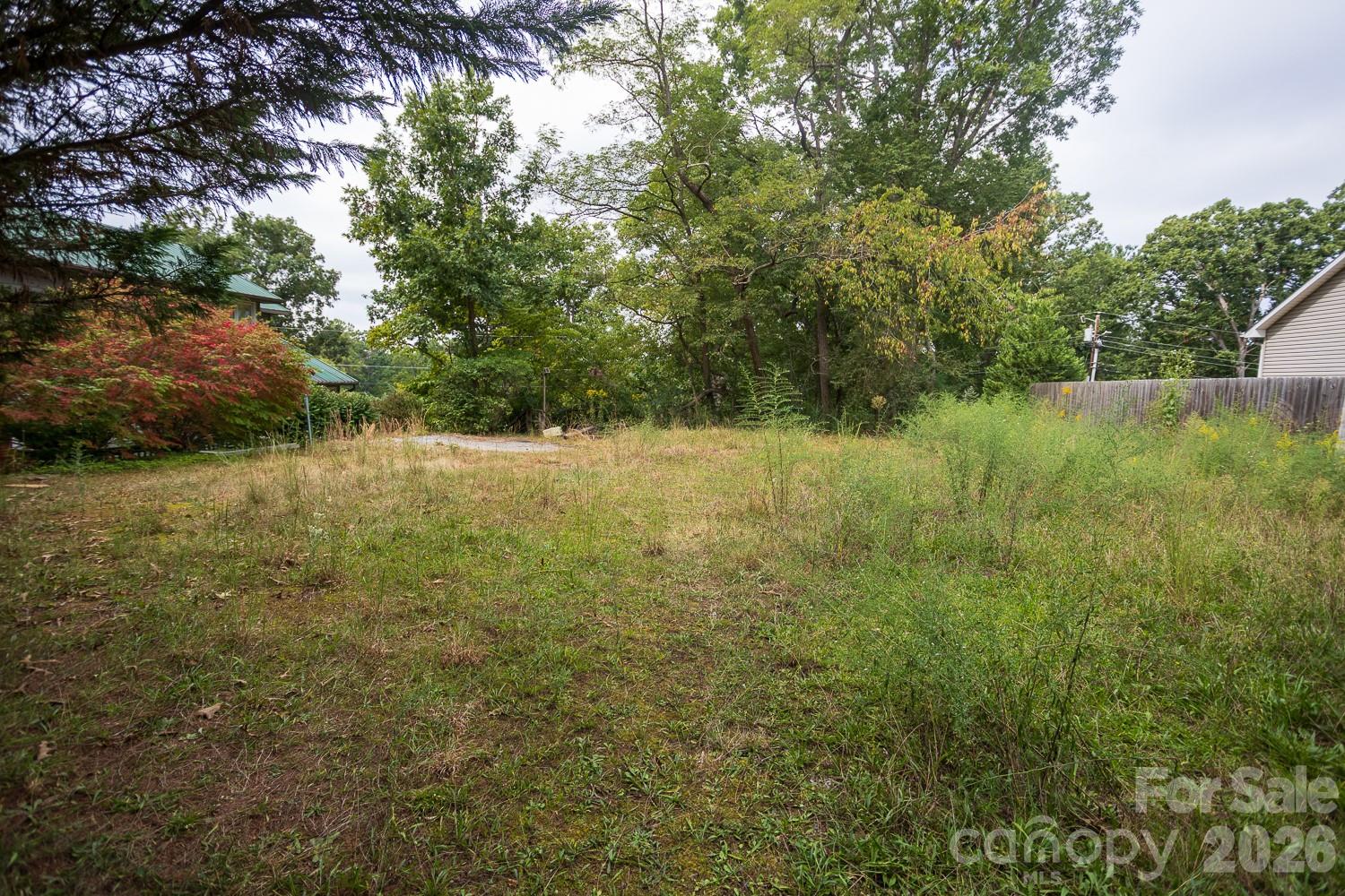Lot at 99999 Pine Cone Drive, Asheville, photo 4 of 5