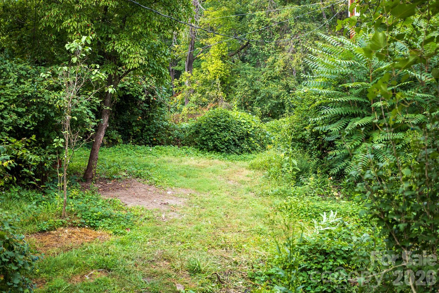Acreage at 55 Blalock Avenue, Asheville, photo 12 of 19