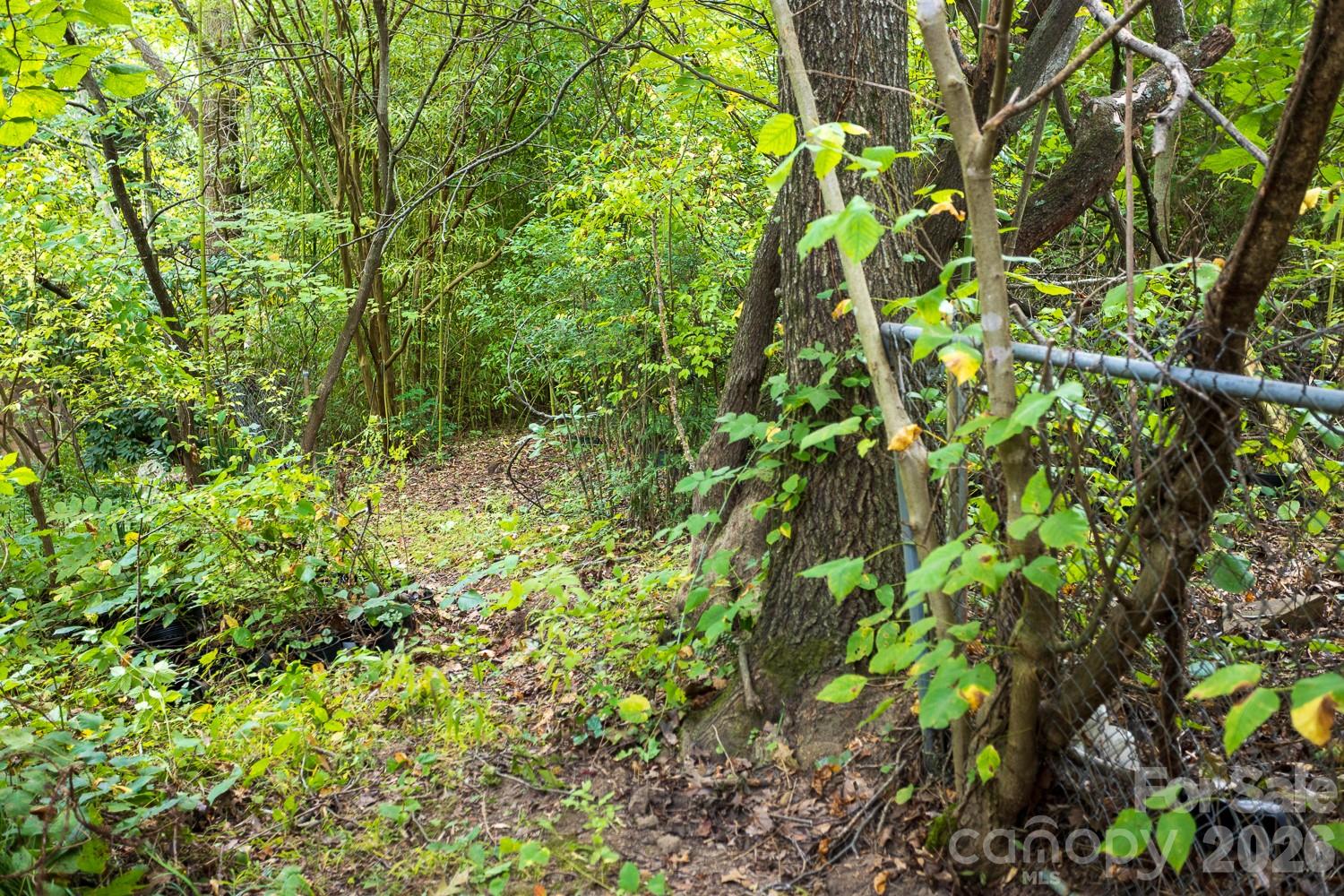 Acreage at 55 Blalock Avenue, Asheville, photo 14 of 19