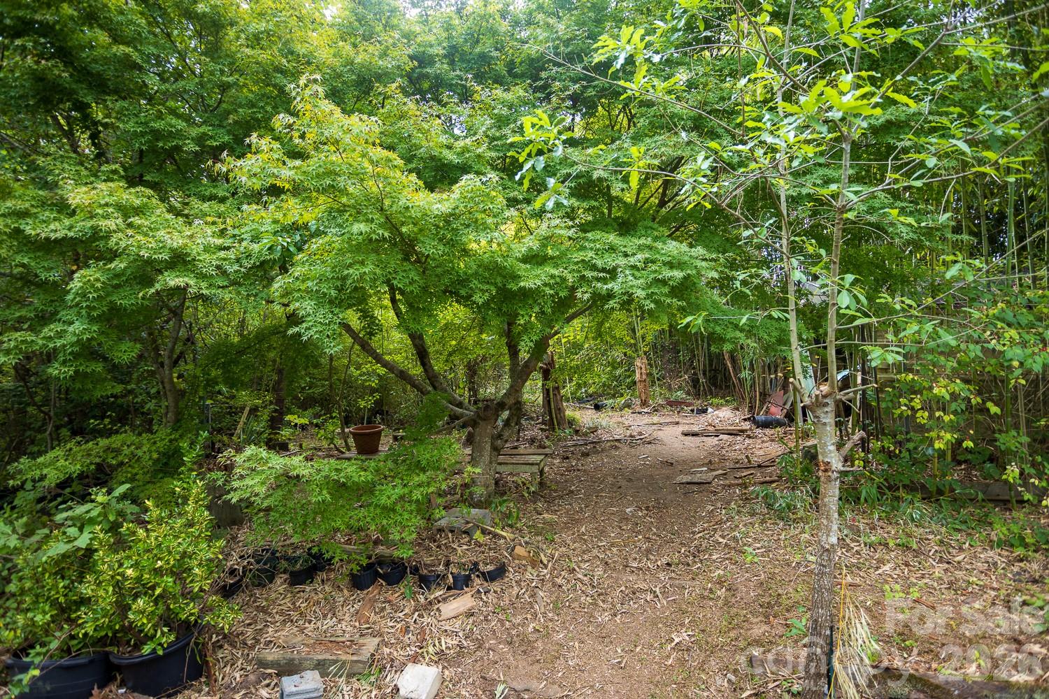 Acreage at 55 Blalock Avenue, Asheville, photo 18 of 19