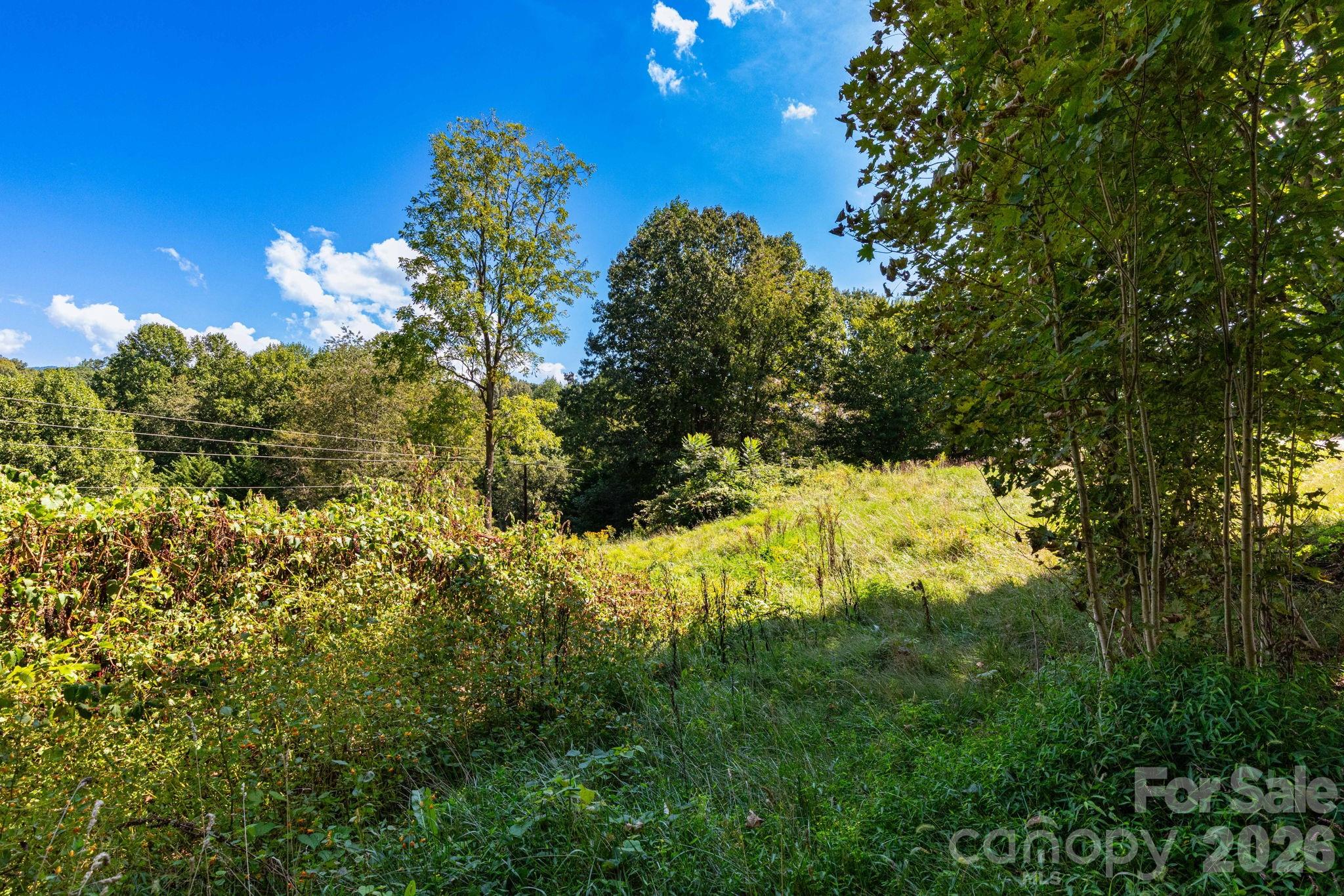 Lot at 9999 Foxfire Estates Circle, Waynesville, photo 4 of 11