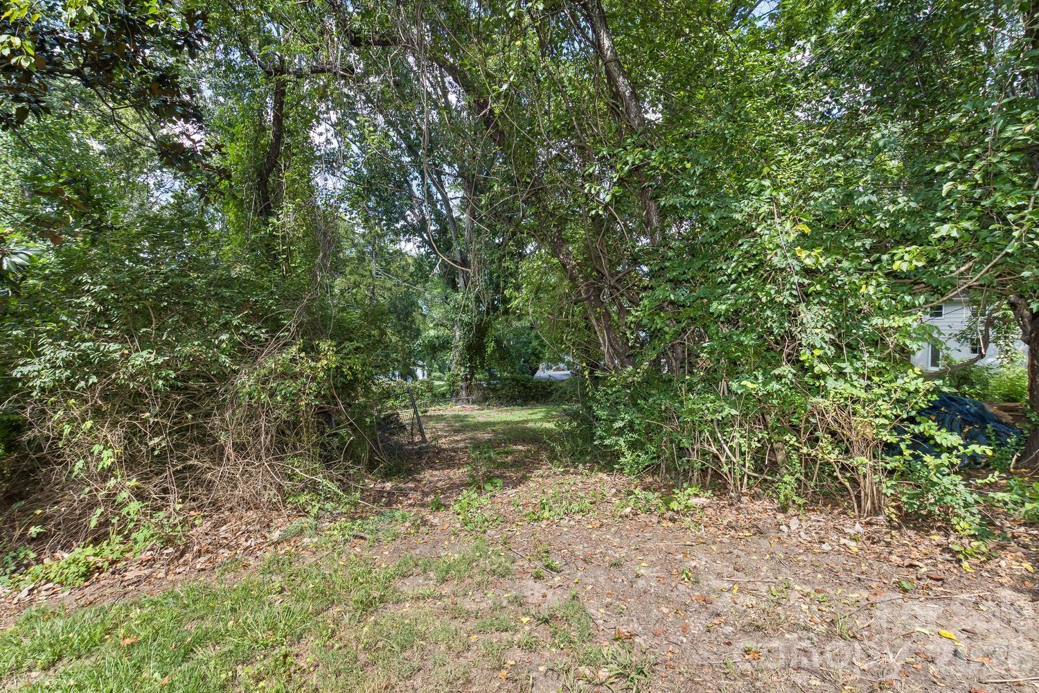 separate access to backyard - 31 Wilmington Road, Asheville