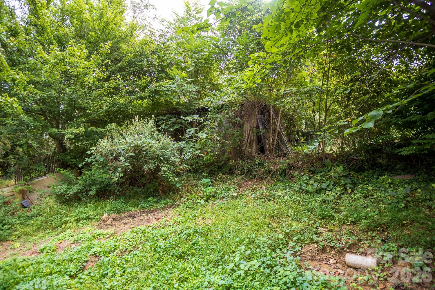 Single Family Residence at 55 Blalock Avenue, Asheville, photo 17 of 31