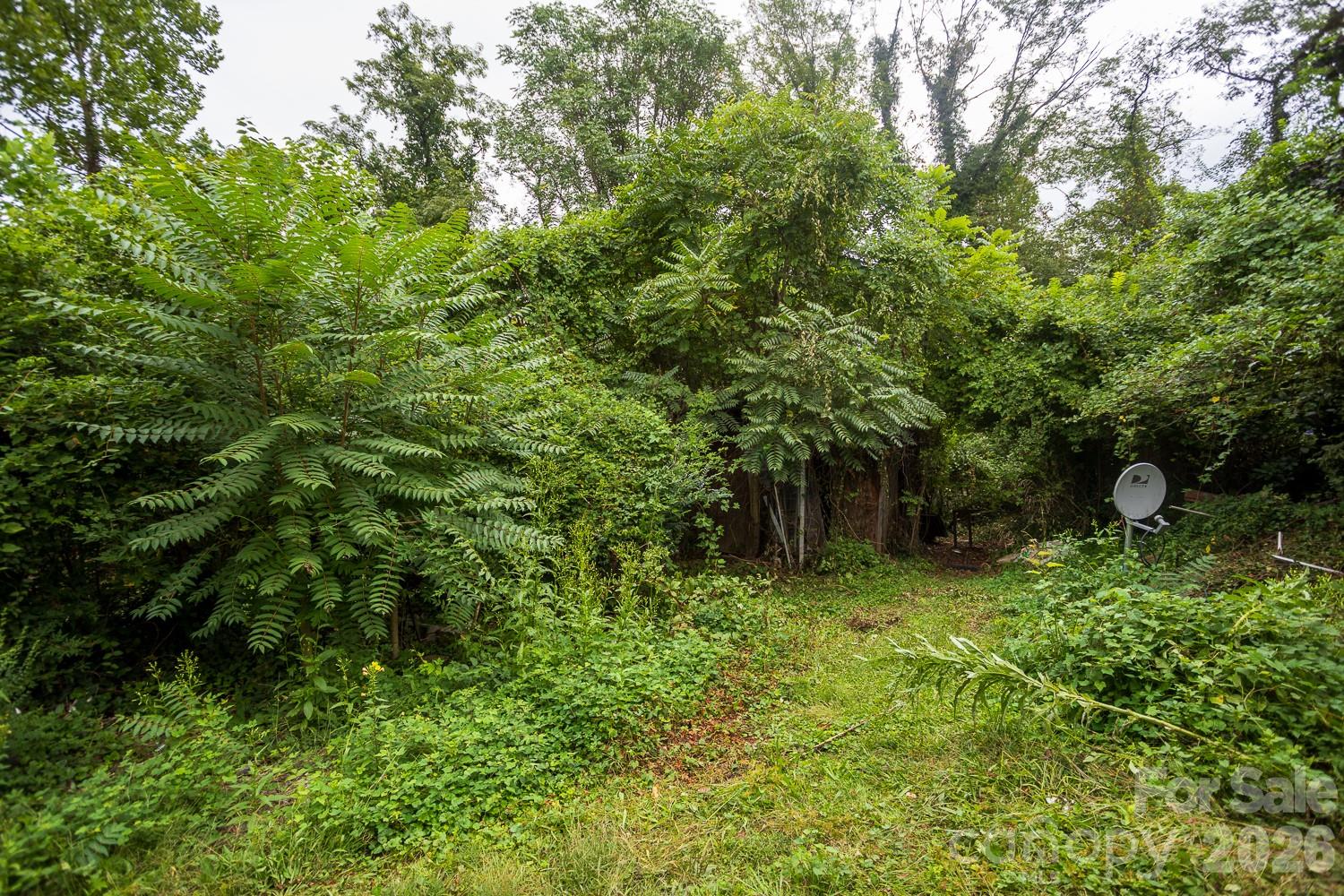 Single Family Residence at 55 Blalock Avenue, Asheville, photo 21 of 31