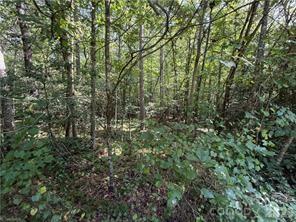 Lot 20 & 21 Zinzendorf Lane