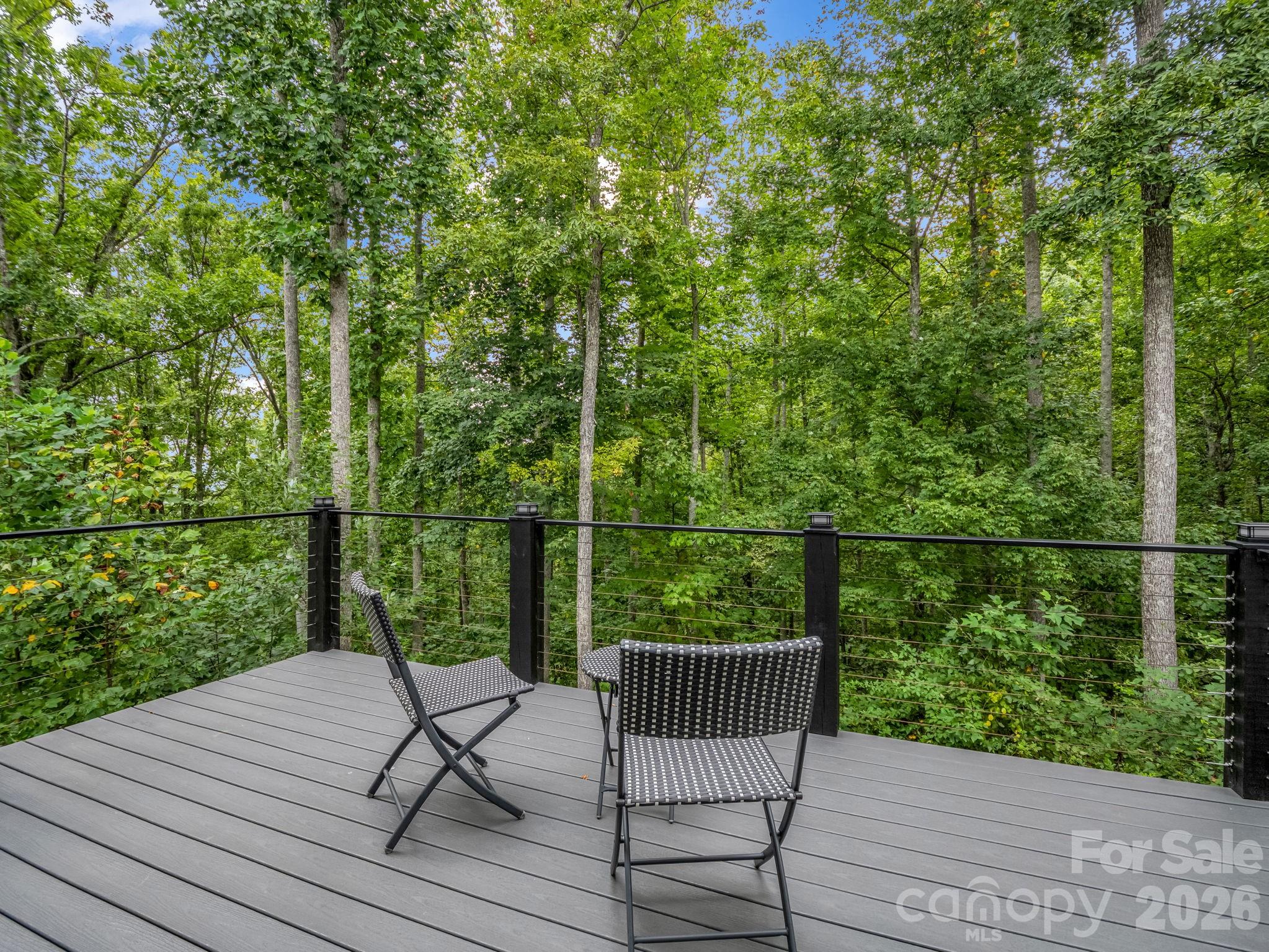 Single Family Residence at 101 Balsamwood Road, Leicester, photo 26 of 48