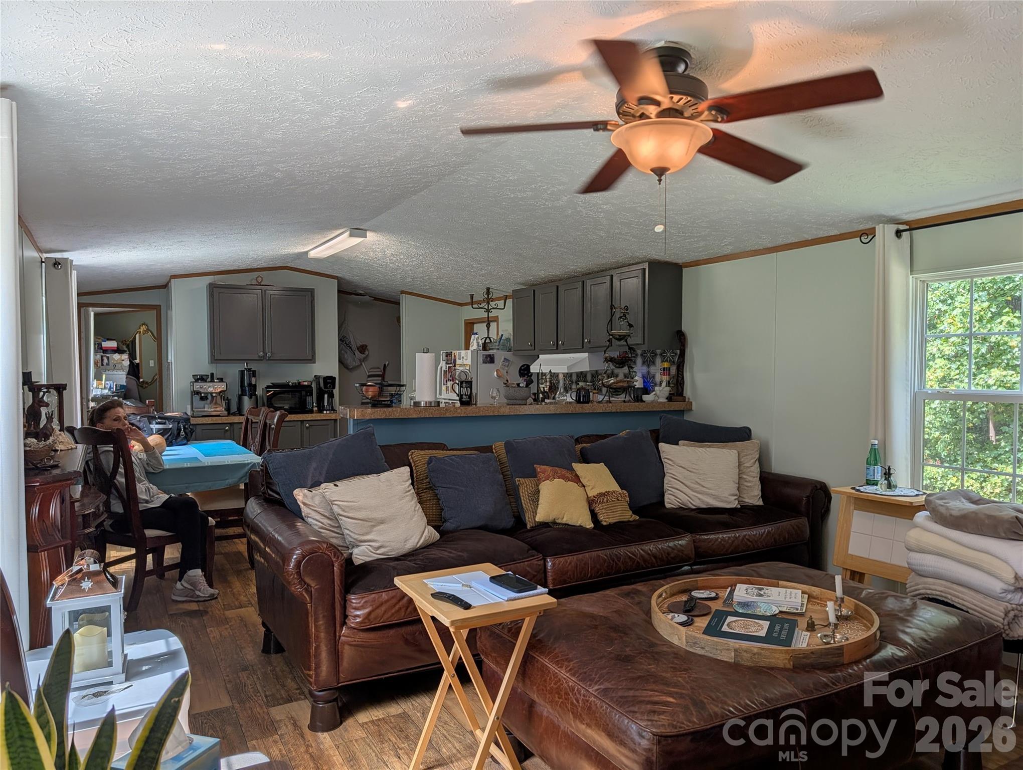 Single Family Residence at 29 Herschel King Drive, Candler, photo 4 of 18